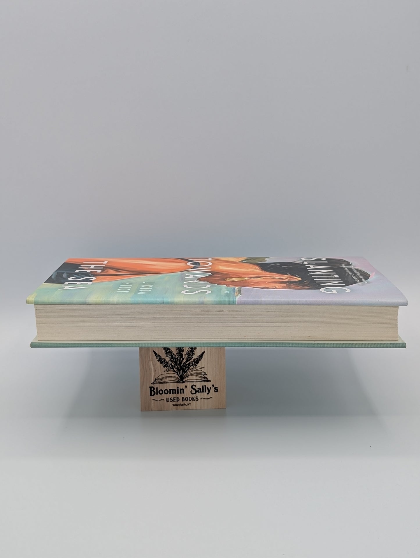 Slanting Towards the Sea: A Novel