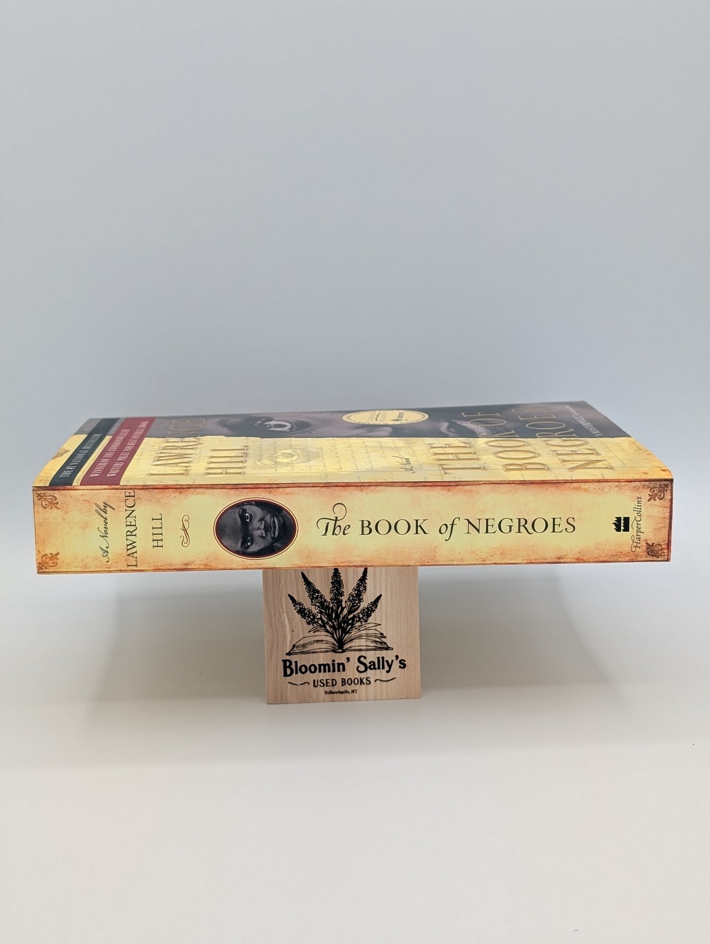 Le Livre des Nègres : un chef-d'œuvre.