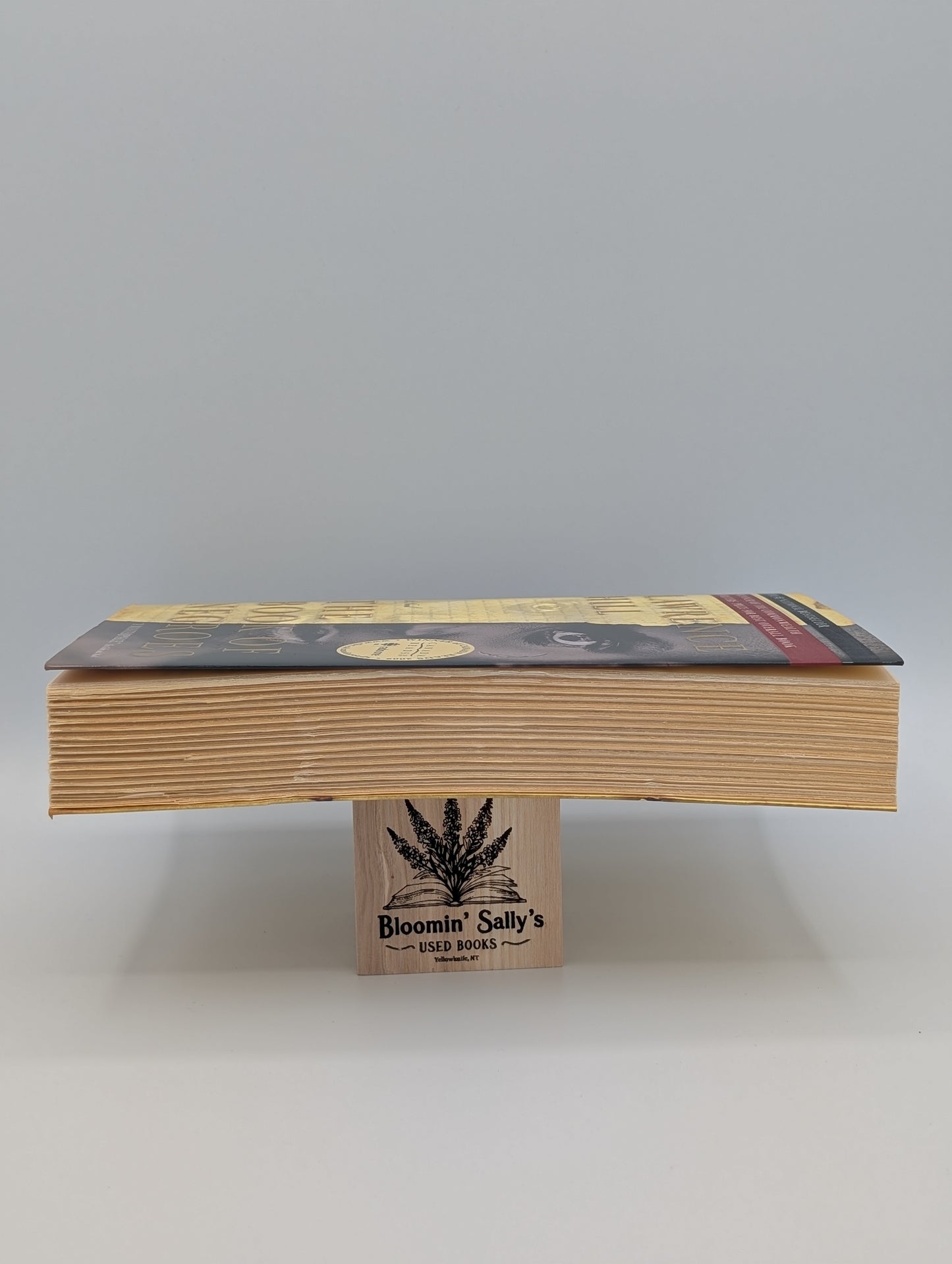 Le Livre des Nègres : un chef-d'œuvre.