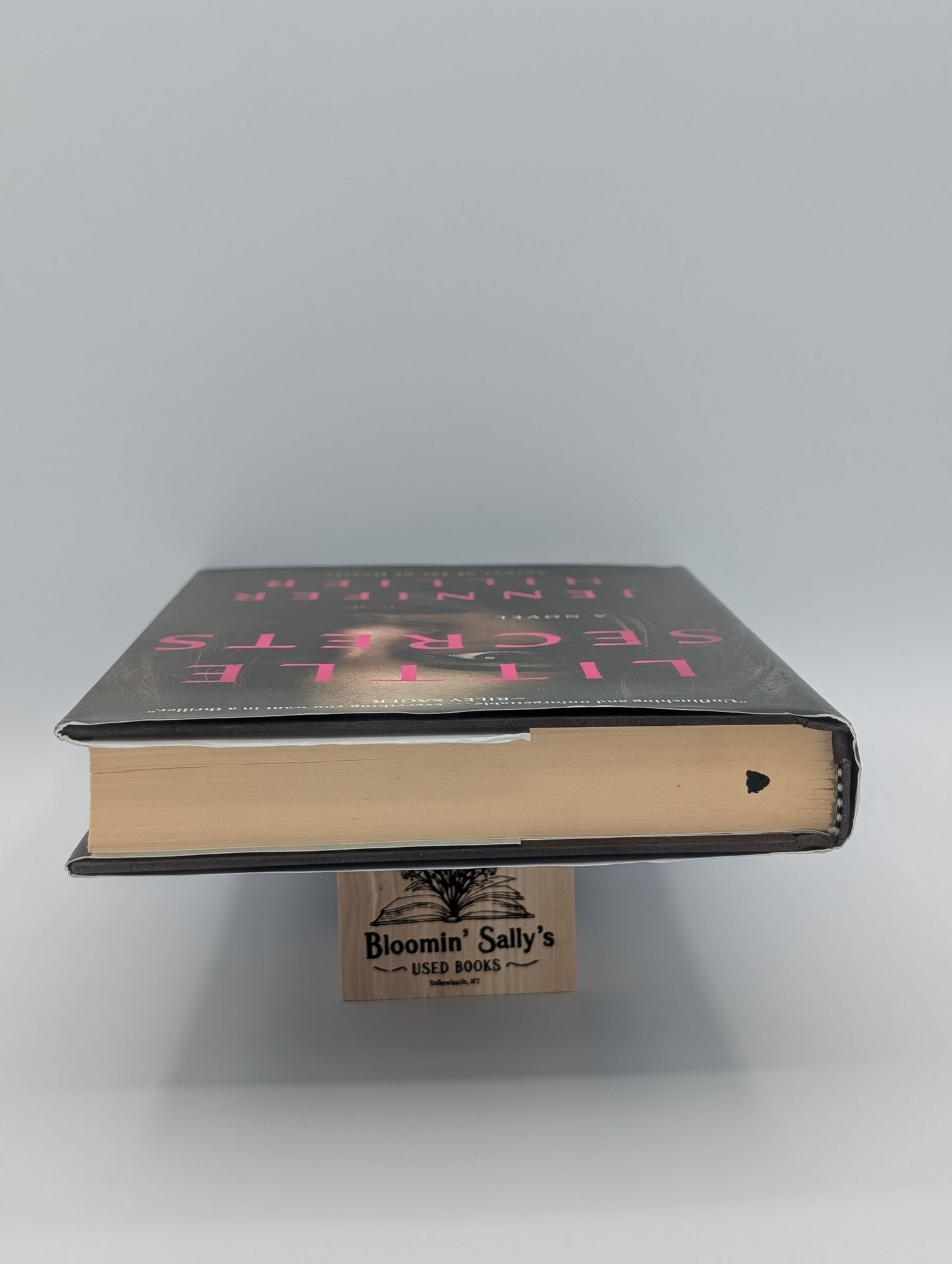 Petits secrets : un roman