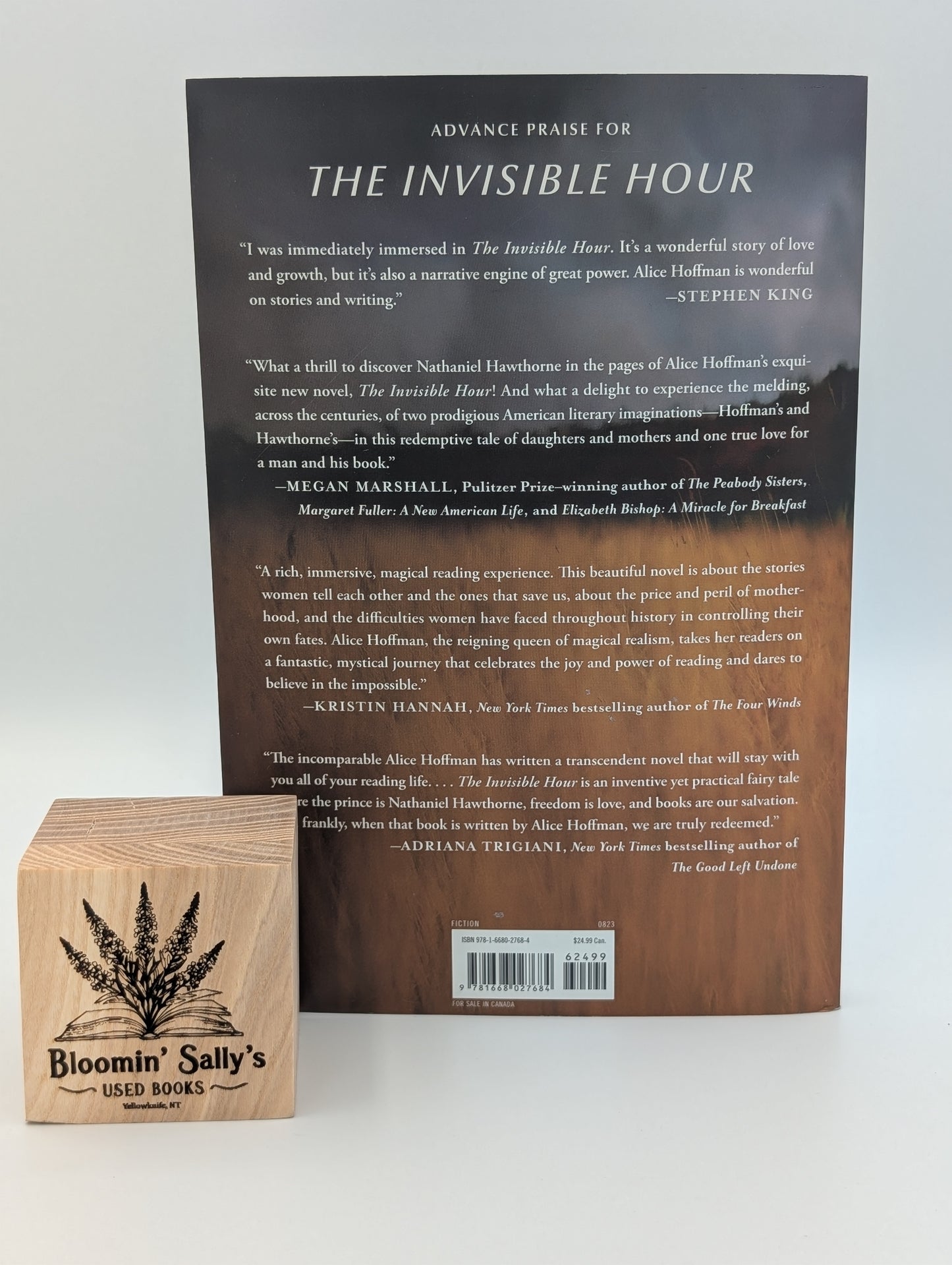 L'Heure invisible : un roman
