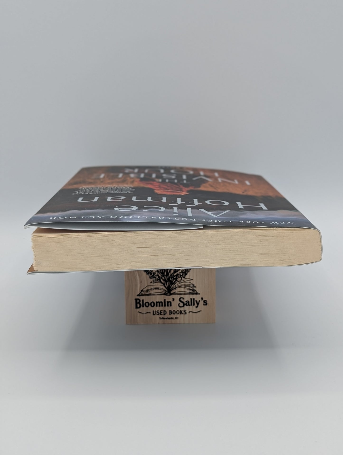 L'Heure invisible : un roman