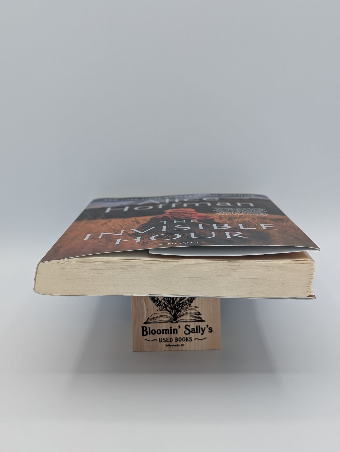 L'Heure invisible : un roman