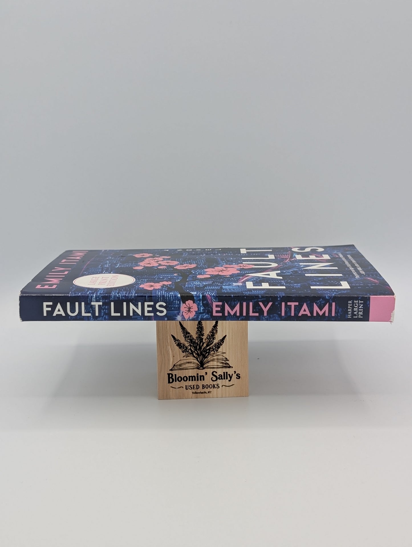 LIGNES DE FAILLE - Édition gros caractères