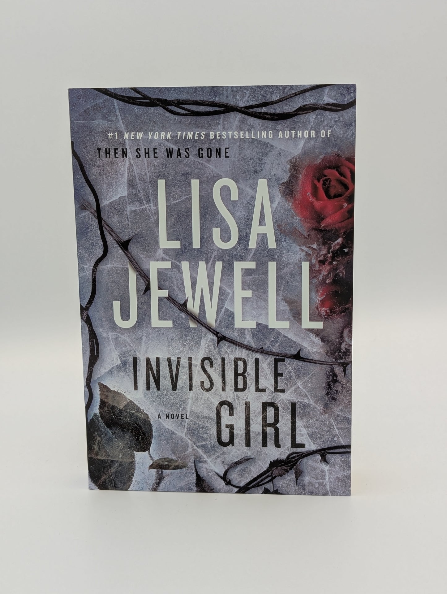 La Fille Invisible : Un Roman