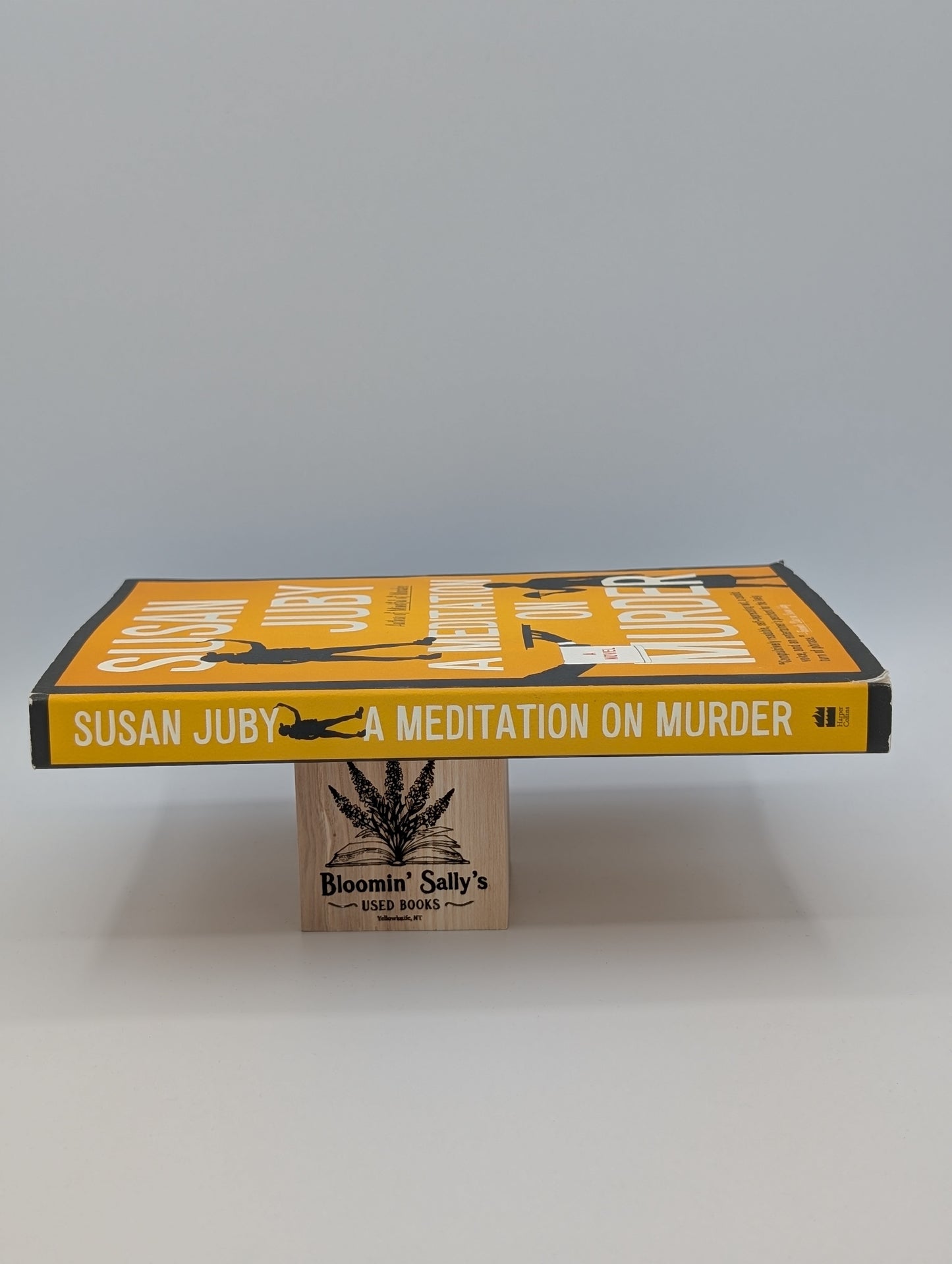 Méditation sur le meurtre : un roman (Une enquête d'Helen Thorpe, tome 2)