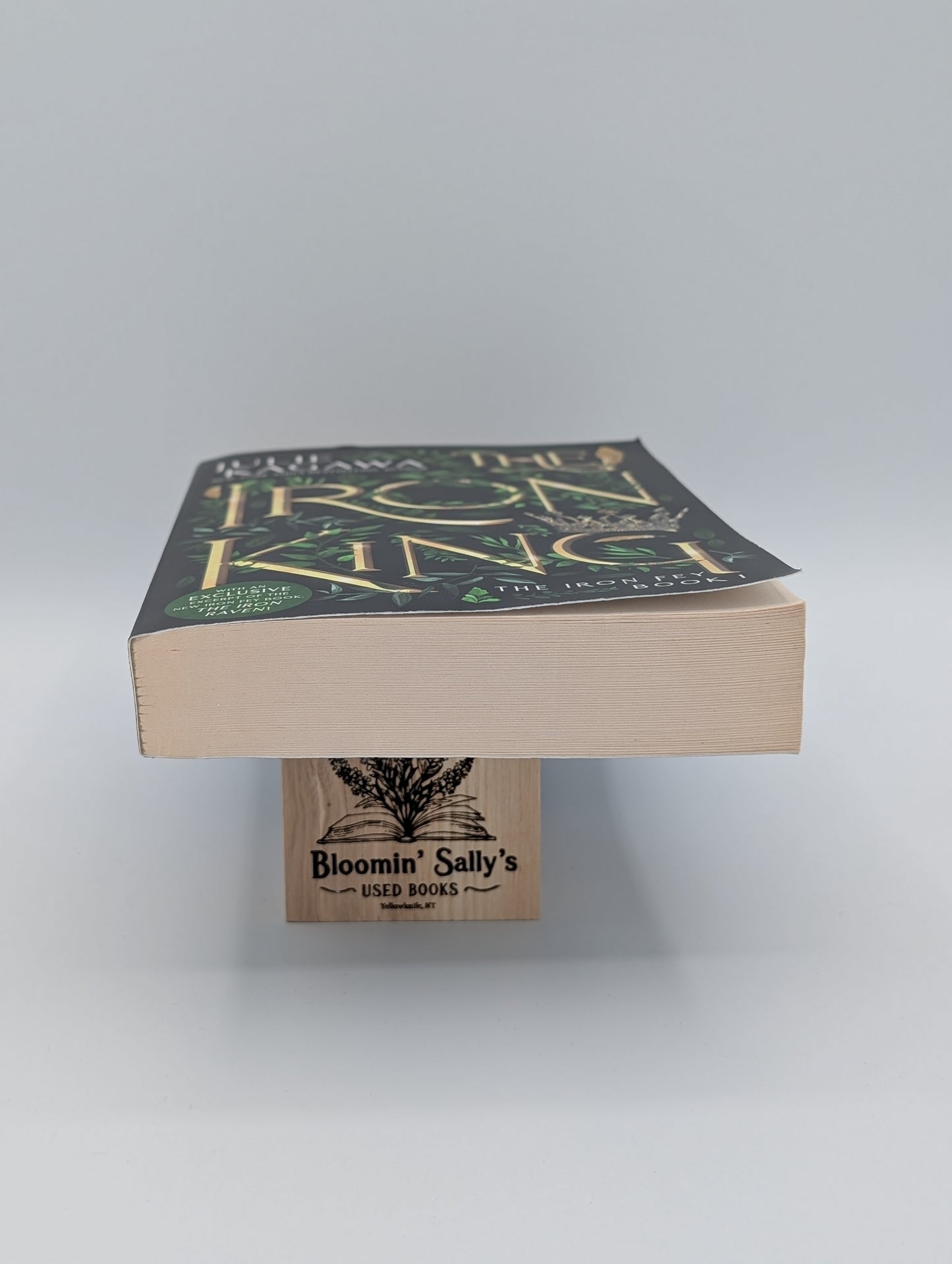 L'édition spéciale du Roi de Fer (Les Fées de Fer)