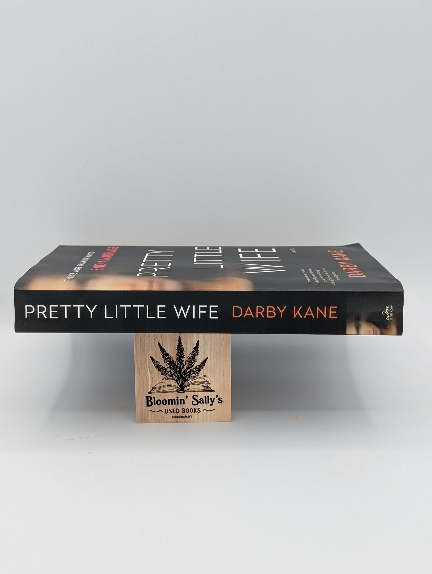 Pretty Little Wife : Un thriller mystérieux et plein de suspense se déroulant dans une ville universitaire idyllique aux sombres secrets.
