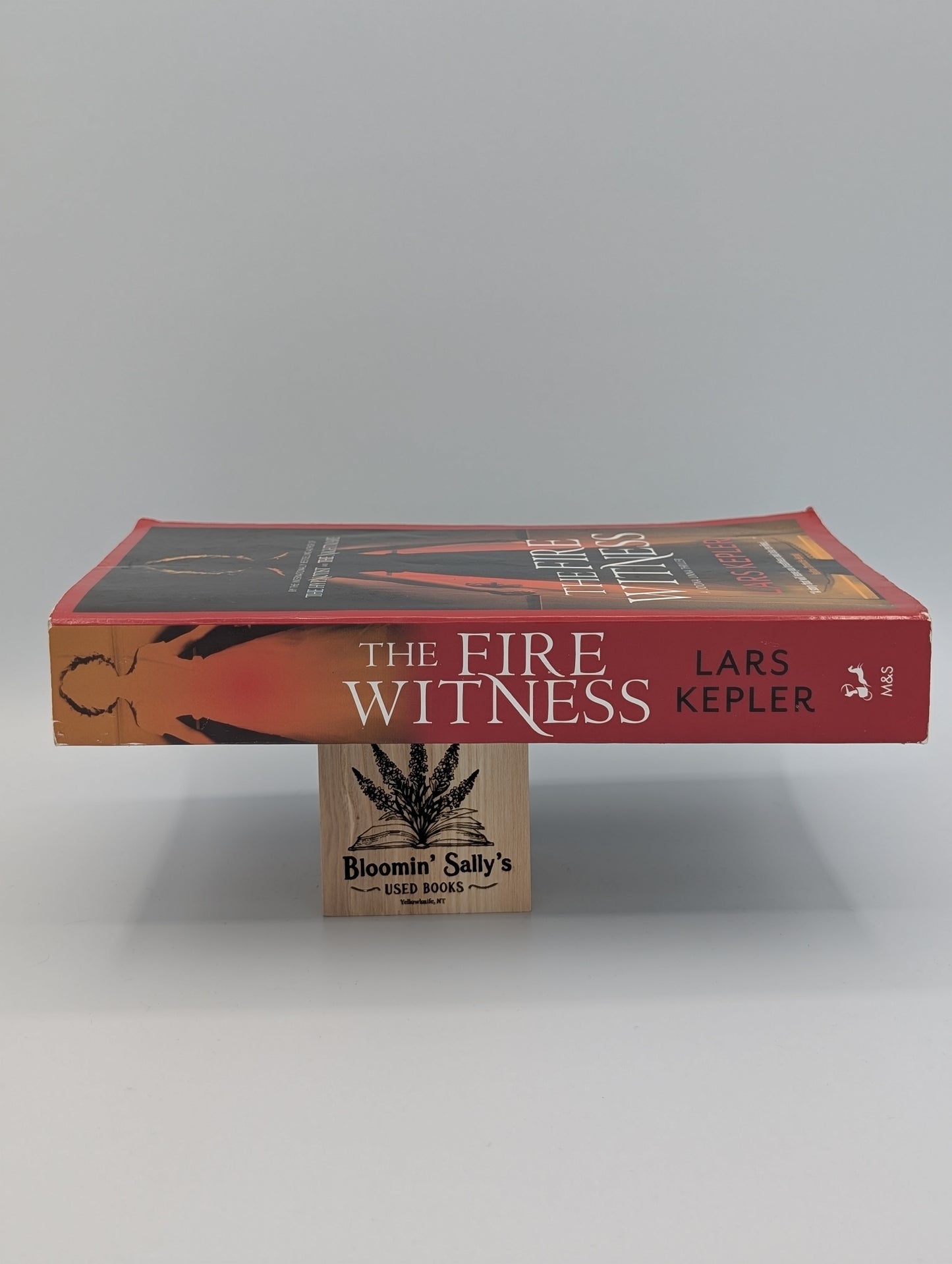 The Fire Witness (The Joona Linna Series)