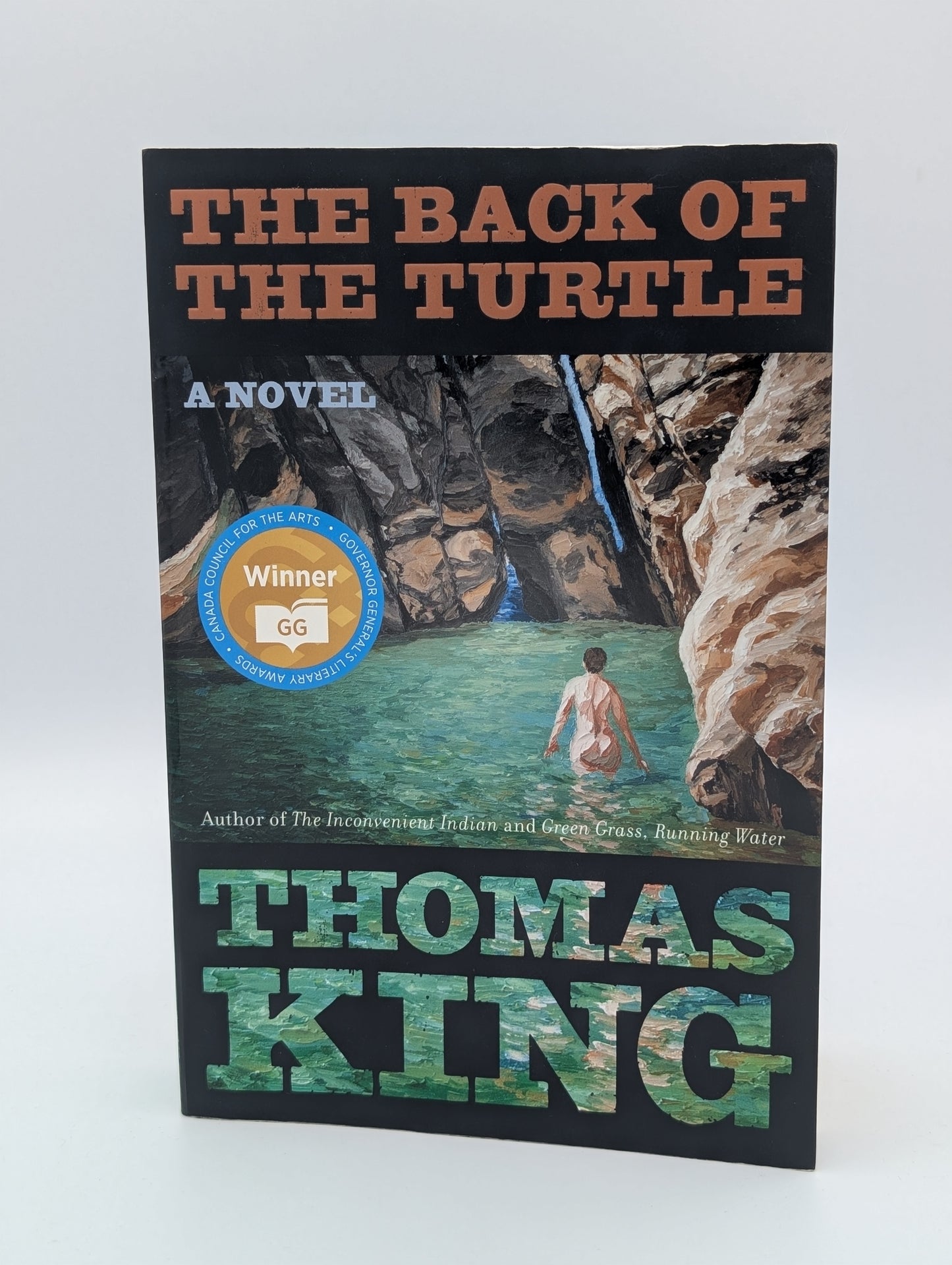 Le dos de la tortue