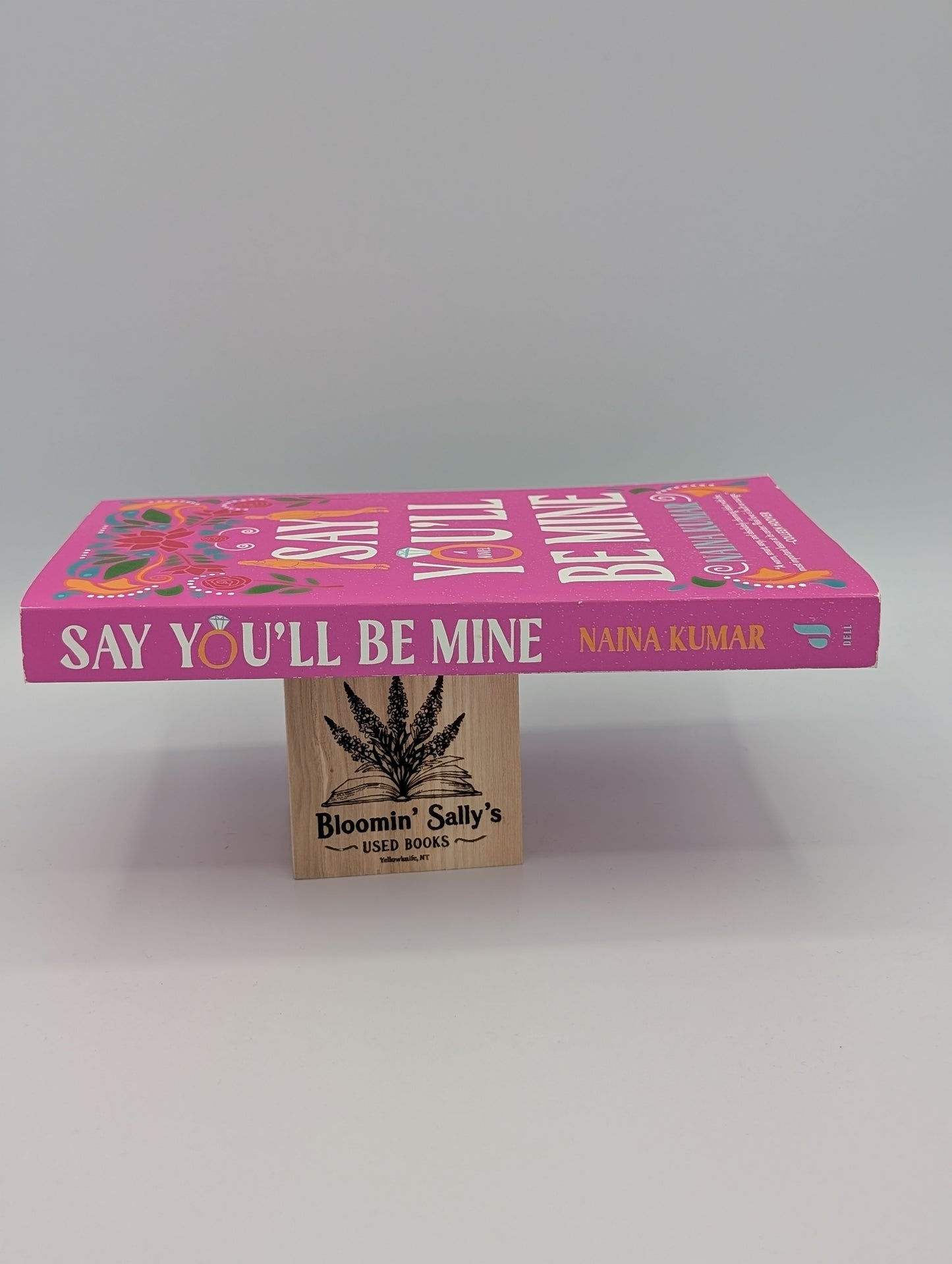 Say You'll Be Mine: A Novel