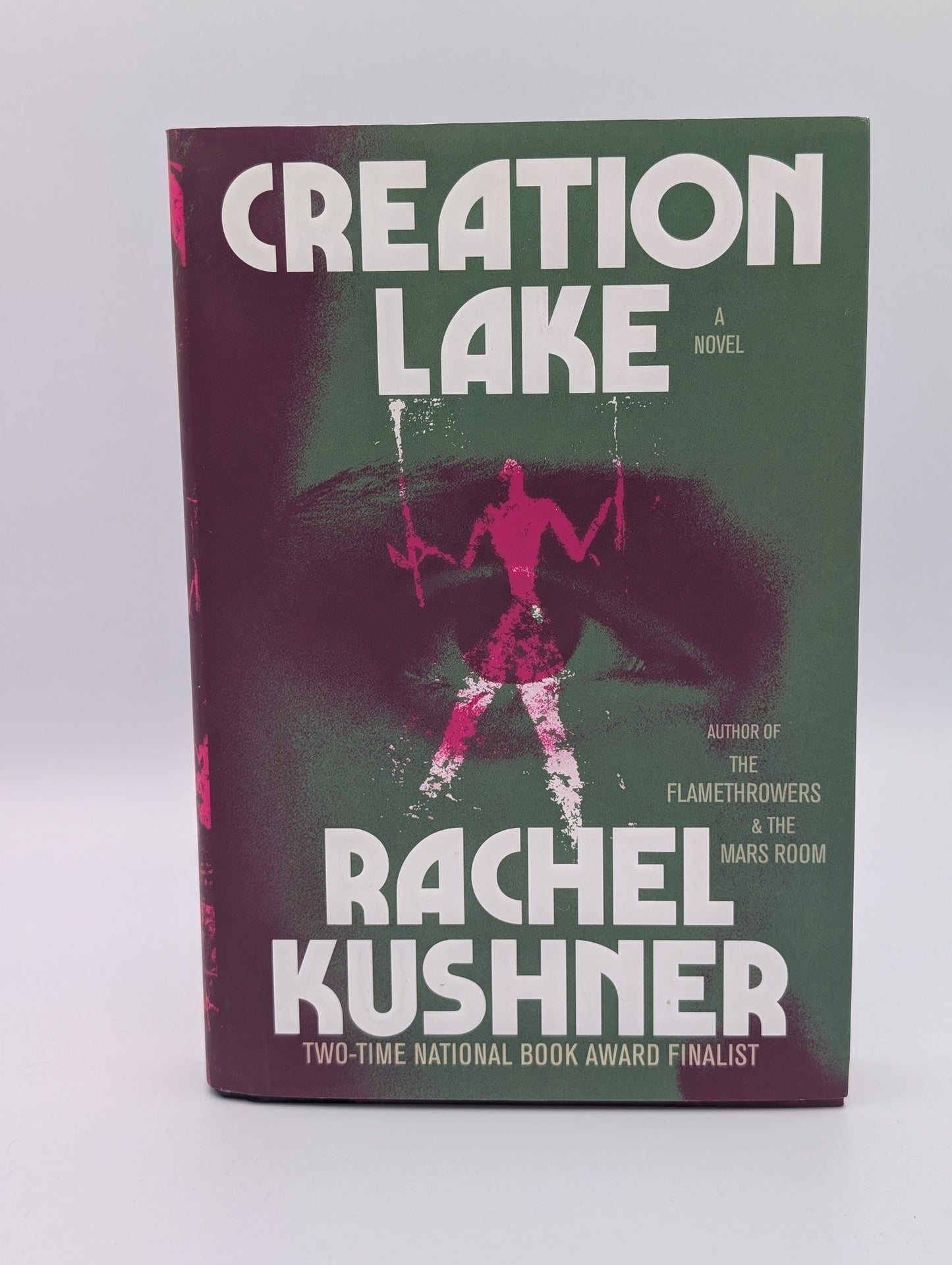 Le lac de la création : un roman (Excellent)