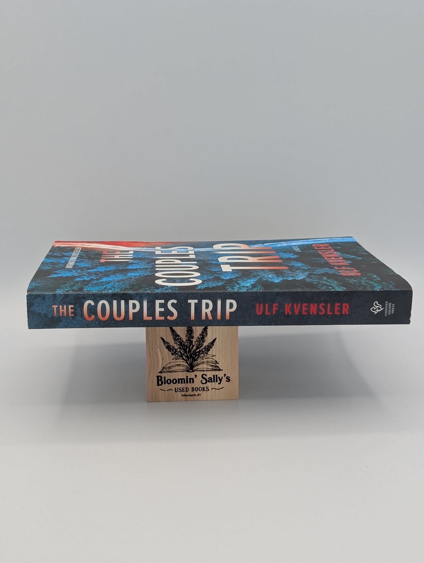 Le voyage en couple : un roman