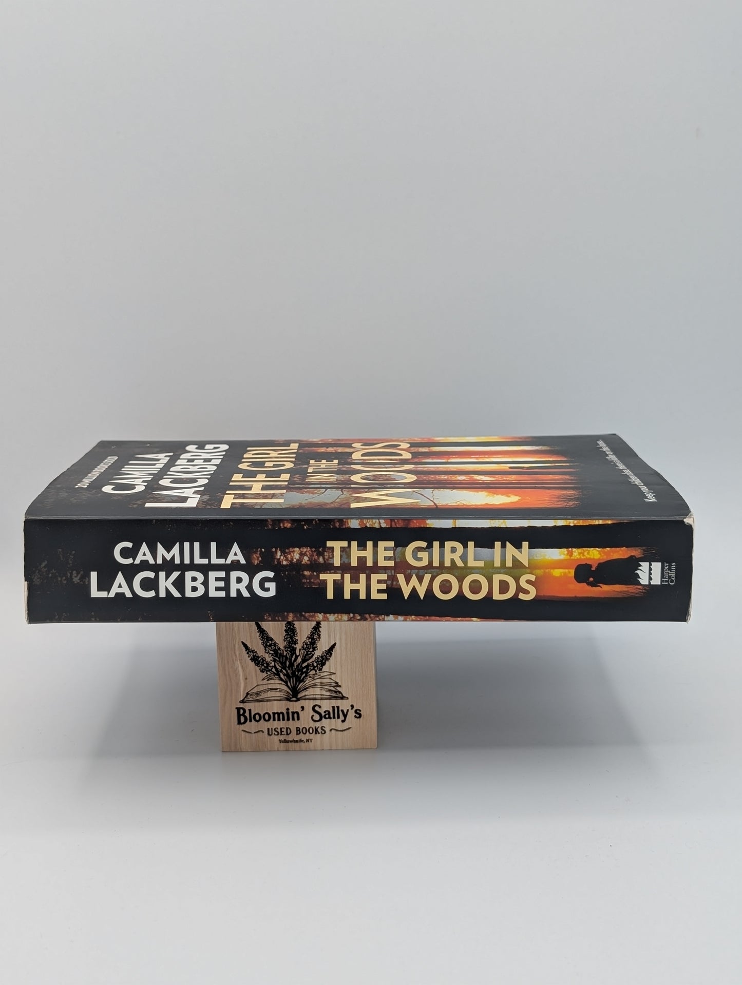 La Fille dans les bois (Patrik Hedstrom et Erica Falck) [Broché] [19 février 2018] Lackberg, Camilla