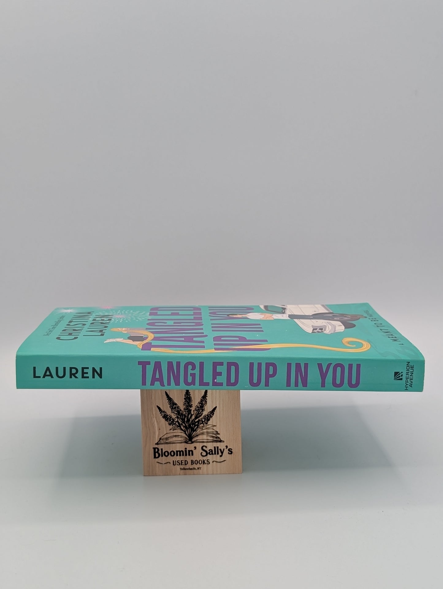 Tangled Up In You (Meant To Be)