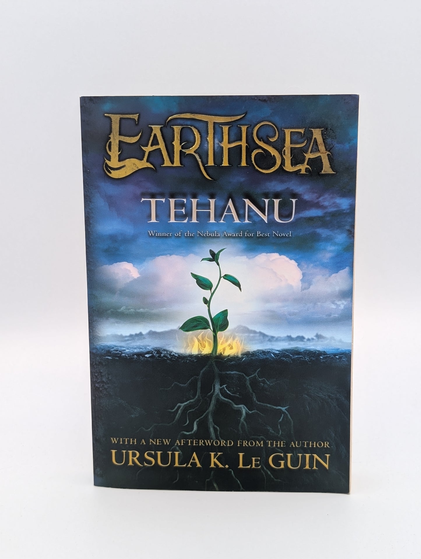 Tehanu (4) (Earthsea Cycle)