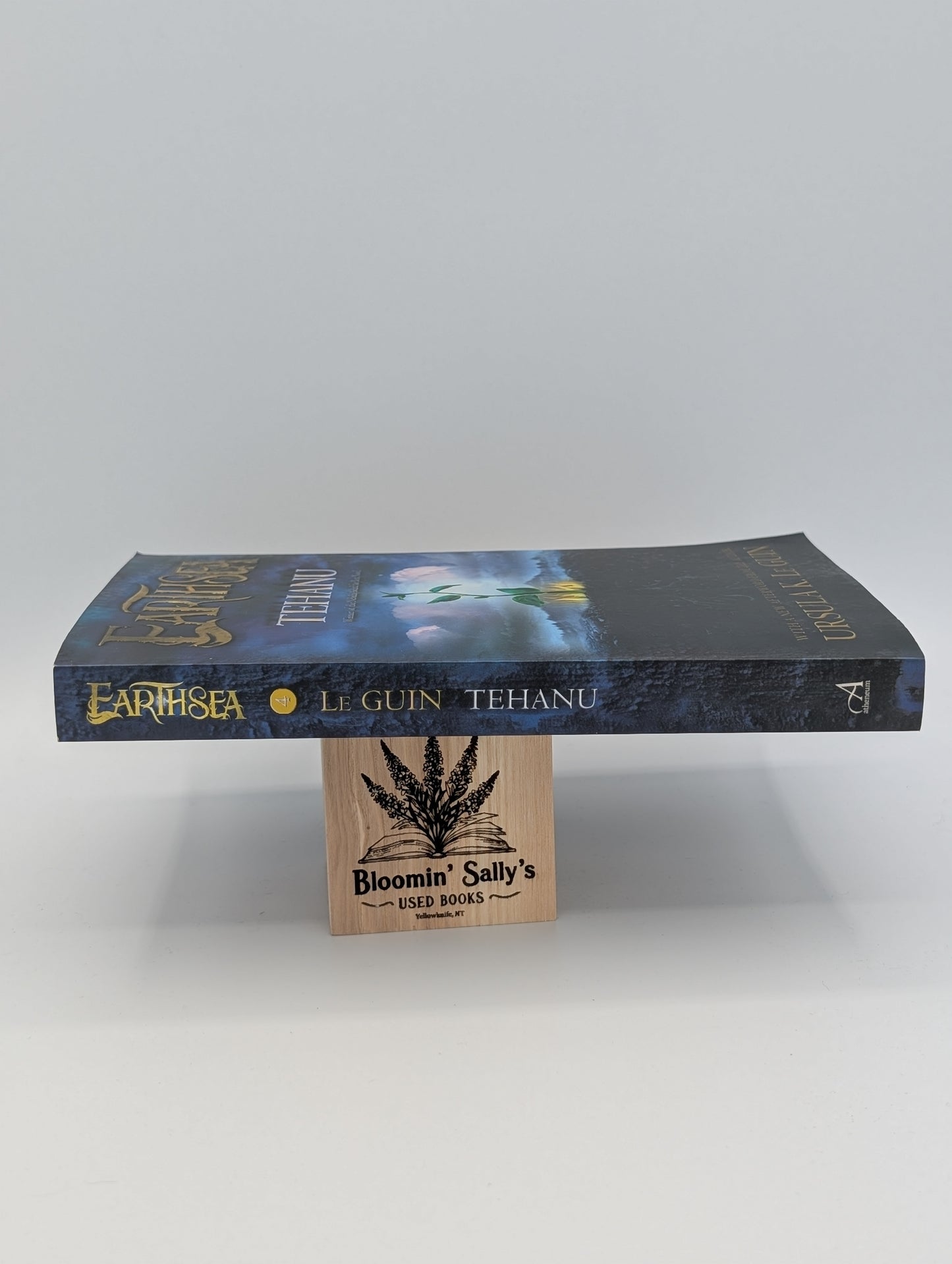 Tehanu (4) (Earthsea Cycle)