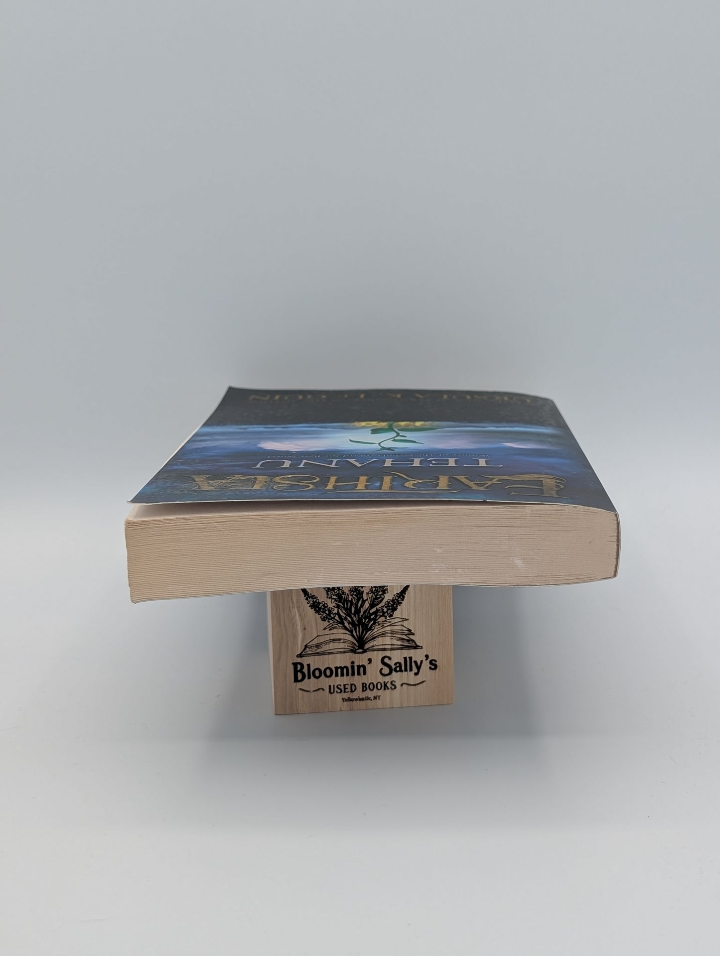 Tehanu (4) (Earthsea Cycle)