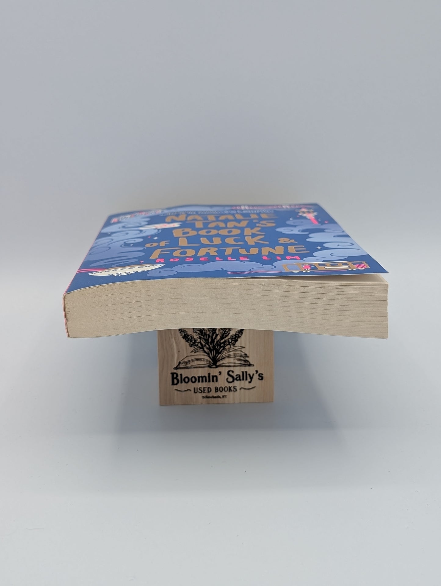 Natalie Tan's Book of Luck and Fortune