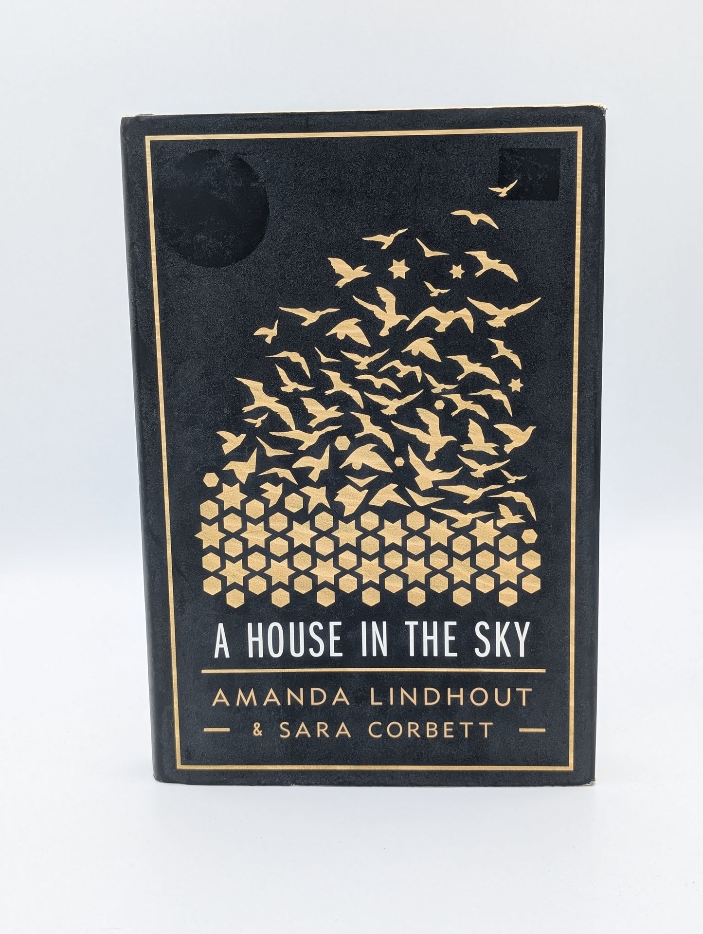 A House In the Sky