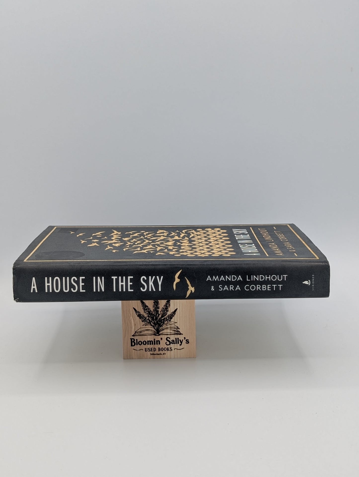 A House In the Sky