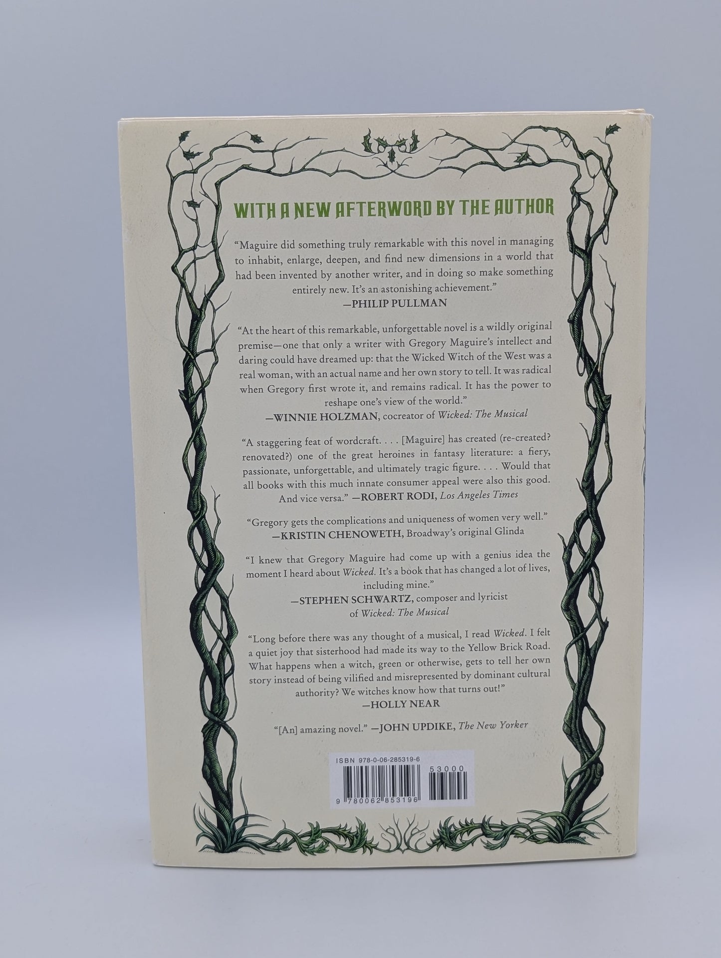 La Méchante Sorcière de l'Ouest : La Vie et l'Époque de la Méchante Sorcière de l'Ouest (Les Années Méchantes, 1)