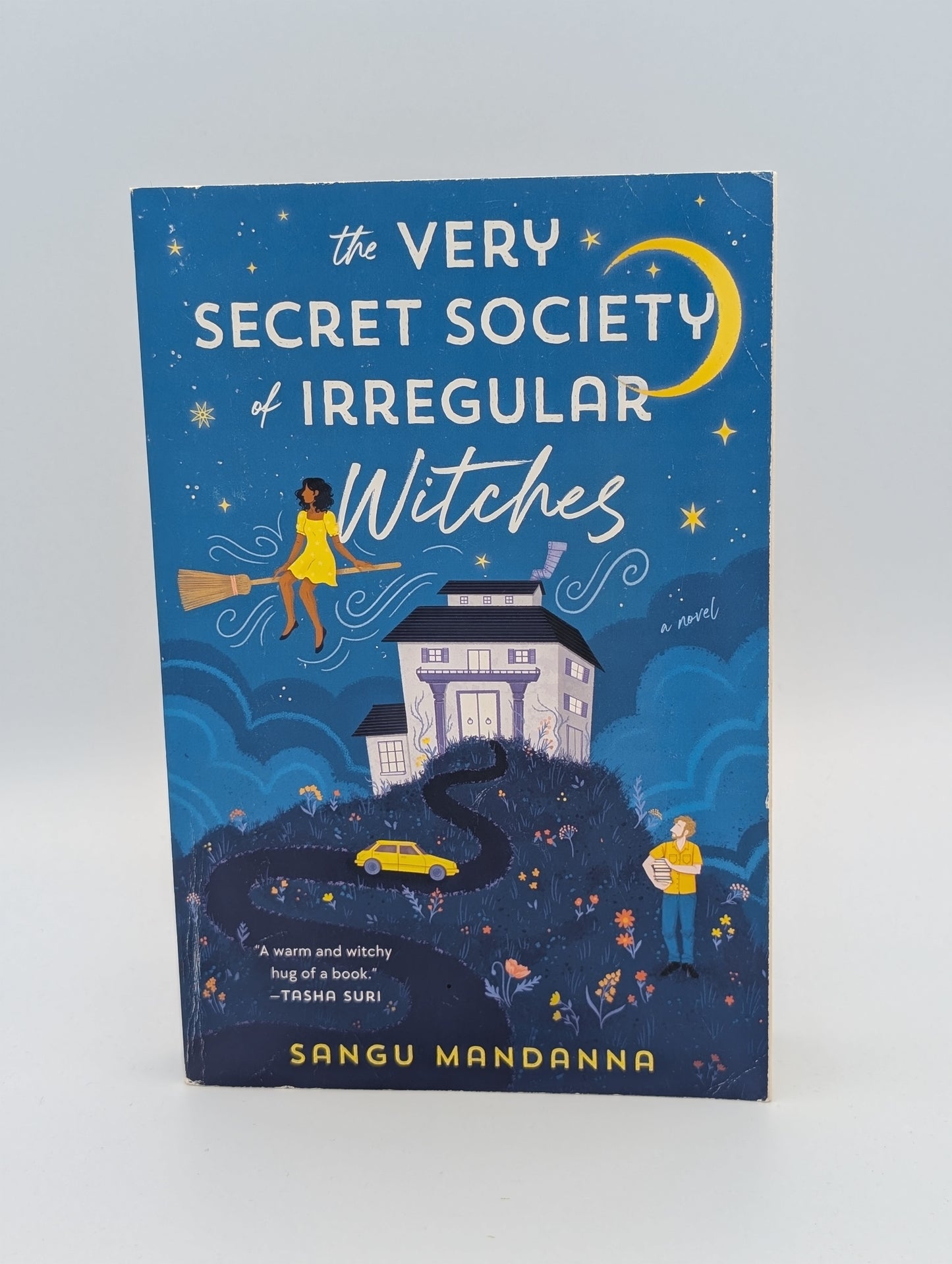 The Very Secret Society of Irregular Witches