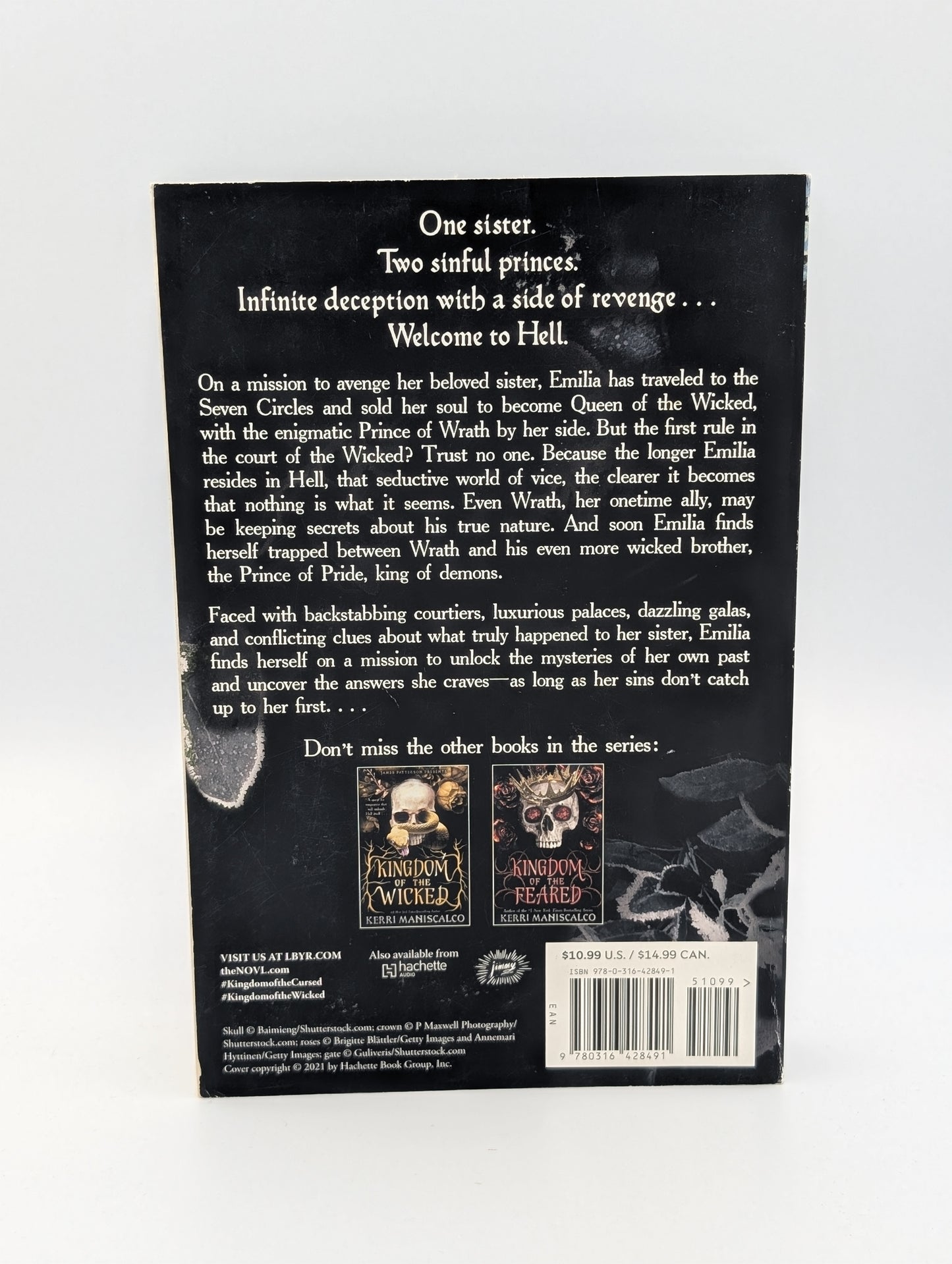Le Royaume des Maudits (Le Royaume des Méchants, 2)