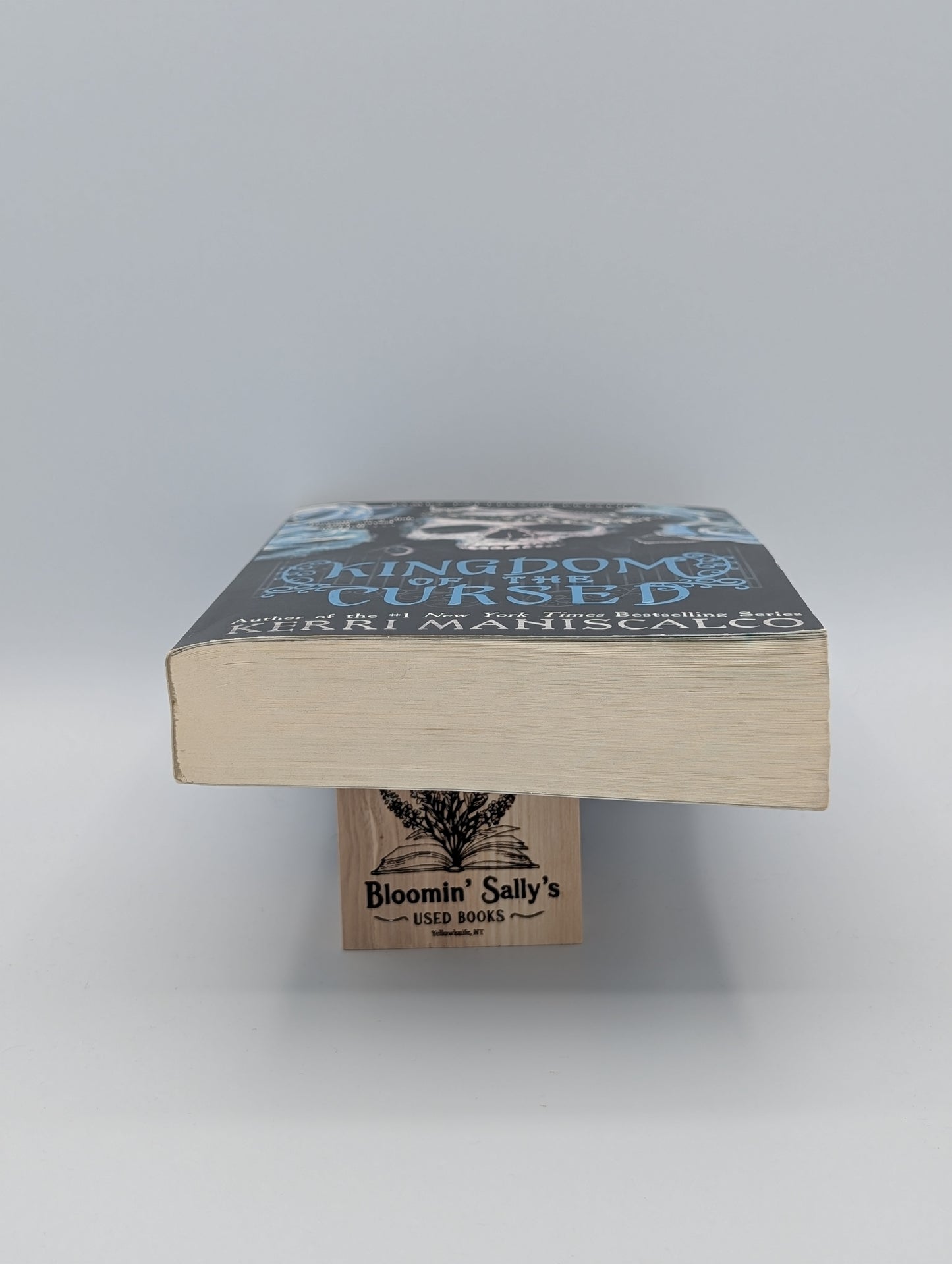 Le Royaume des Maudits (Le Royaume des Méchants, 2)