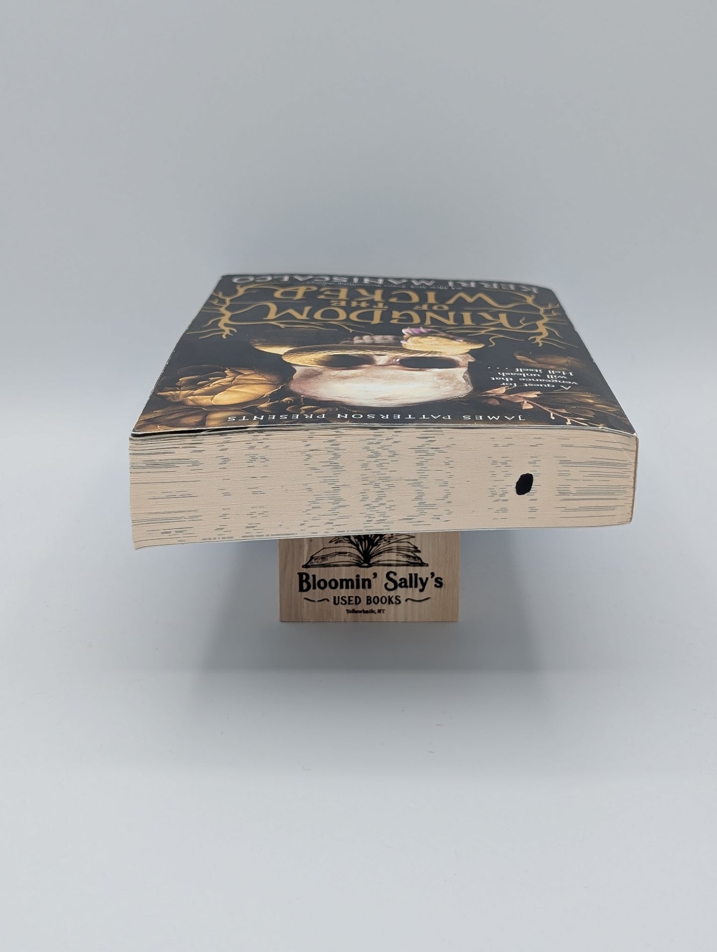 Le Royaume des Méchants (Le Royaume des Méchants, 1)