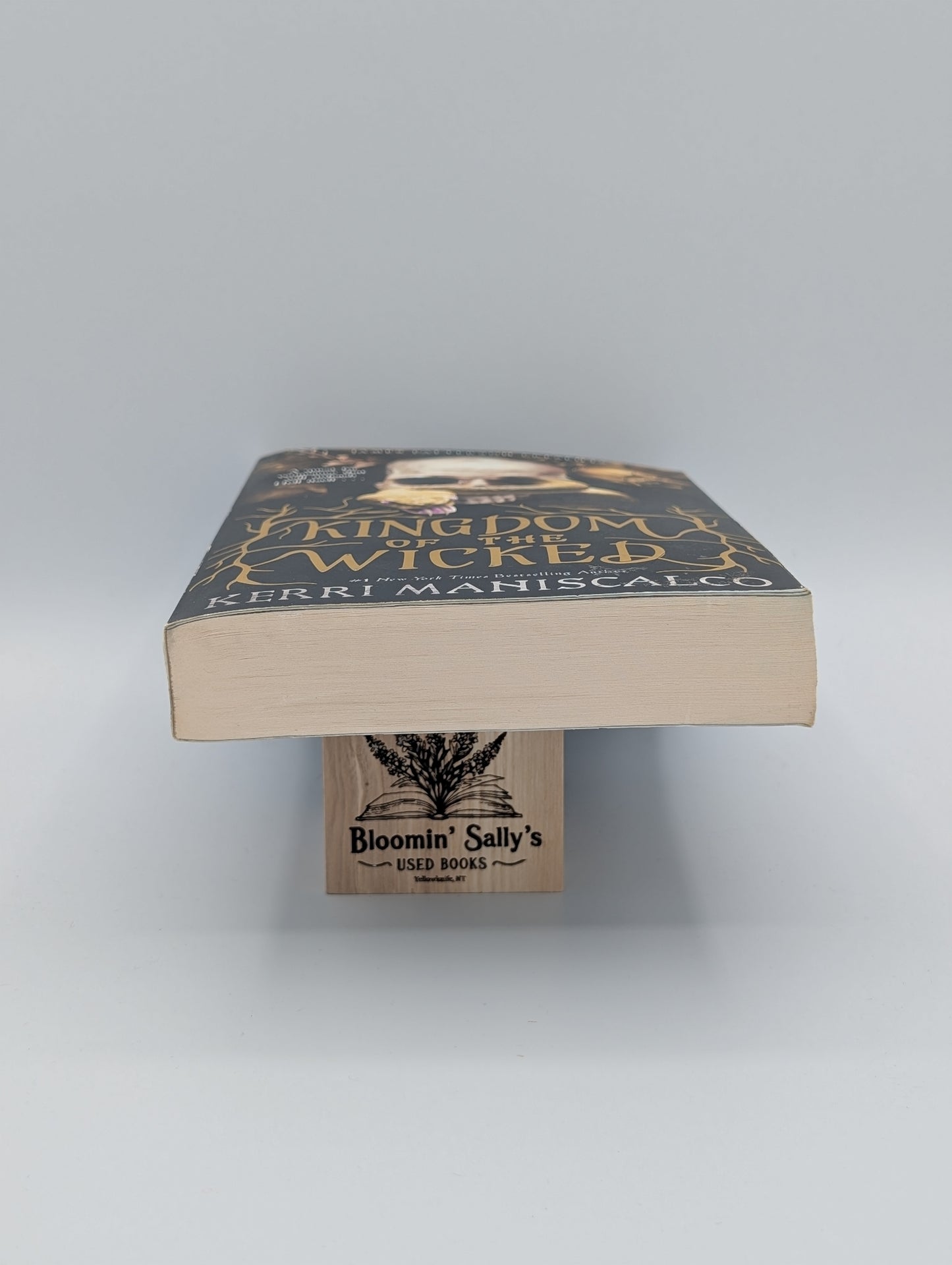 Le Royaume des Méchants (Le Royaume des Méchants, 1)