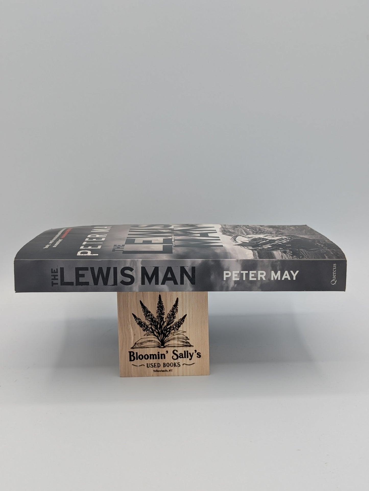 The Lewis Man (The Lewis Trilogy, 2)