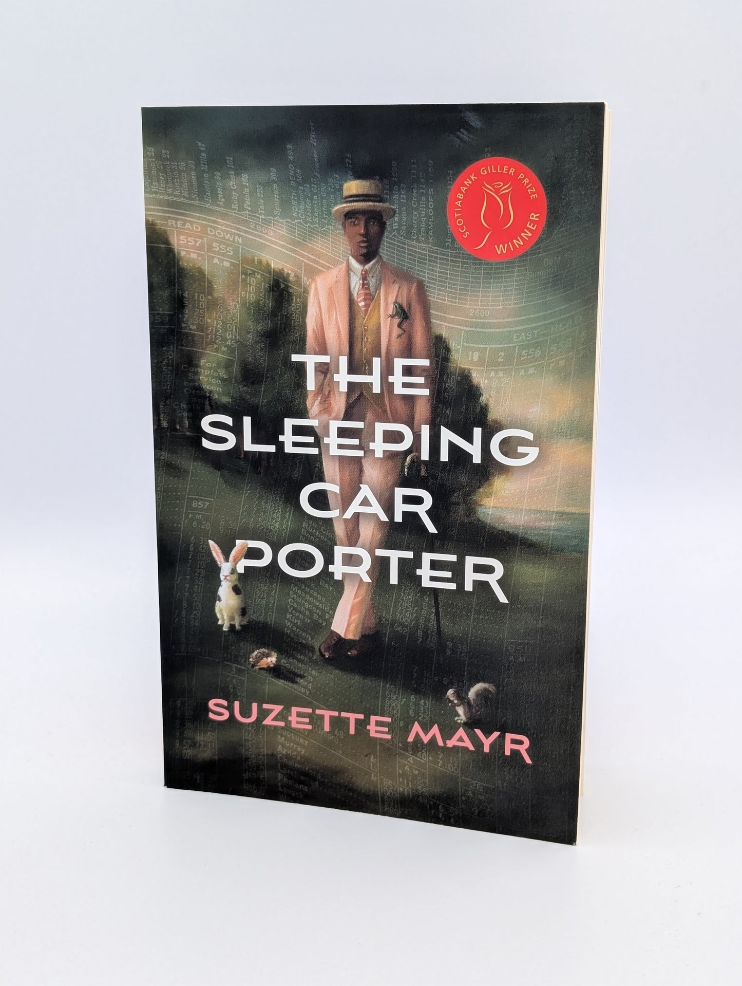 The Sleeping Car Porter