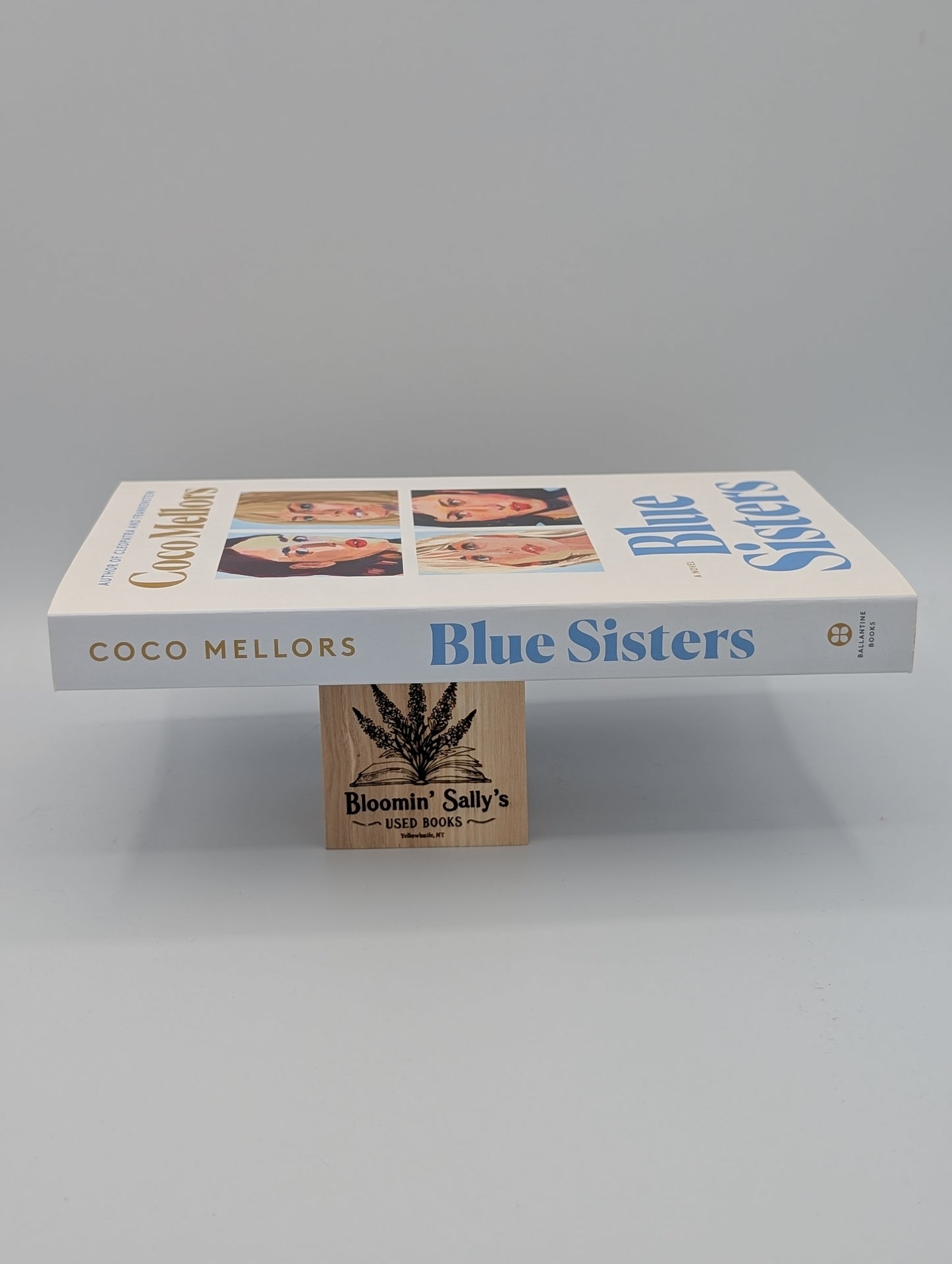 Blue Sisters : Un roman à lire avec Jenna Pick