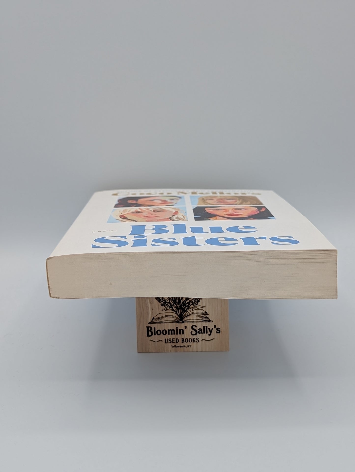 Blue Sisters : Un roman à lire avec Jenna Pick