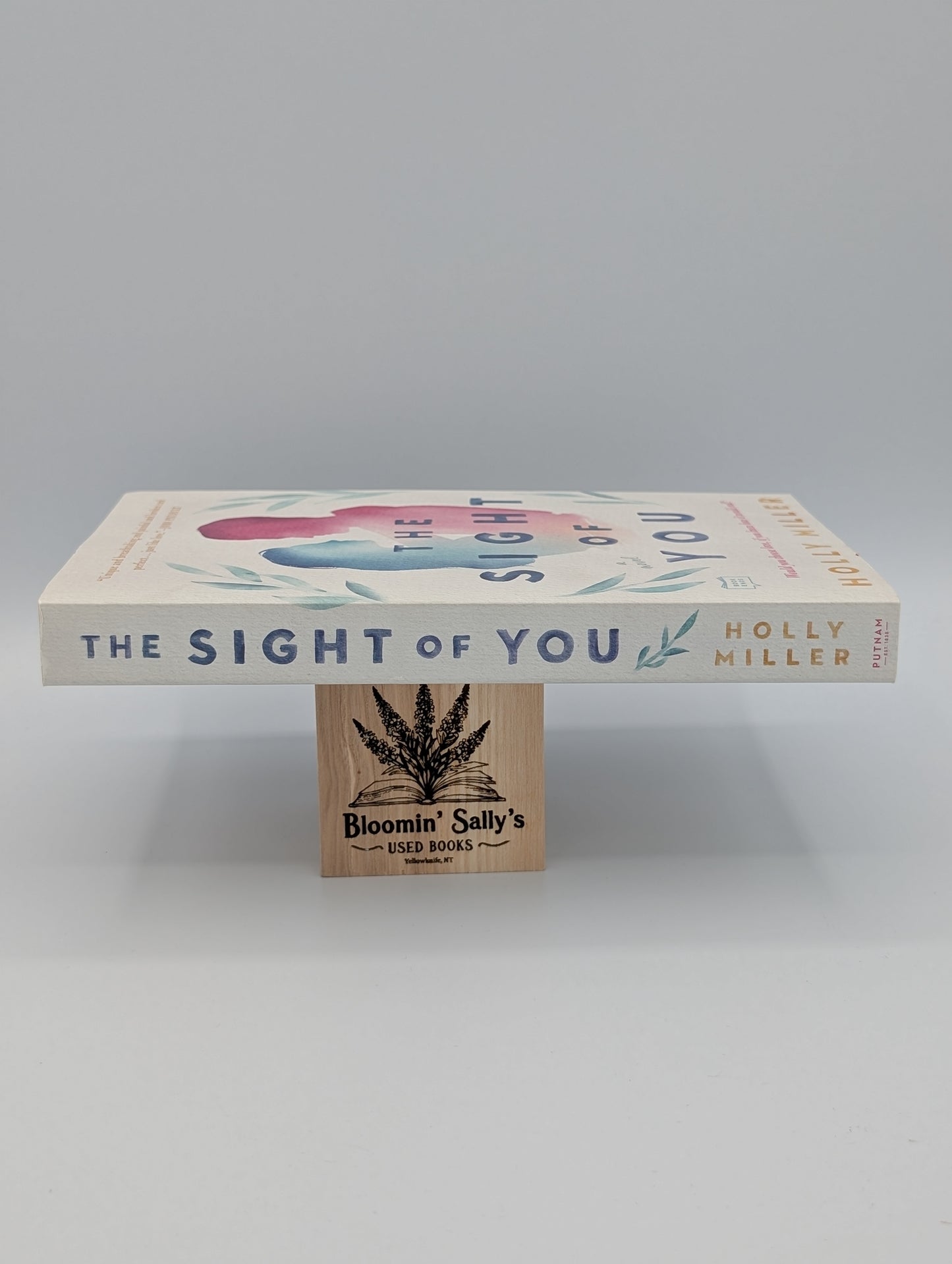 The Sight of You