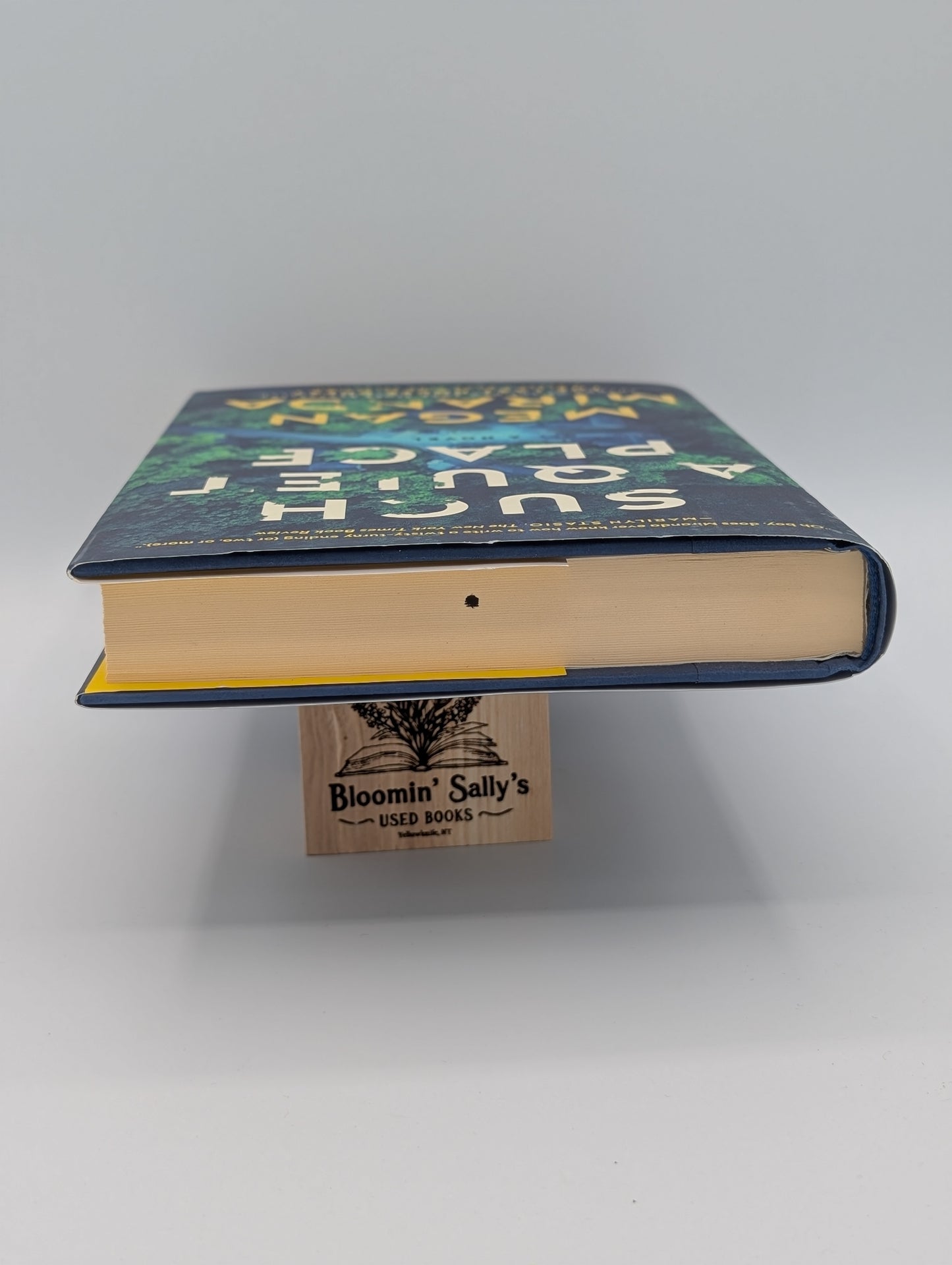 Un endroit si tranquille : un roman (édition reliée)