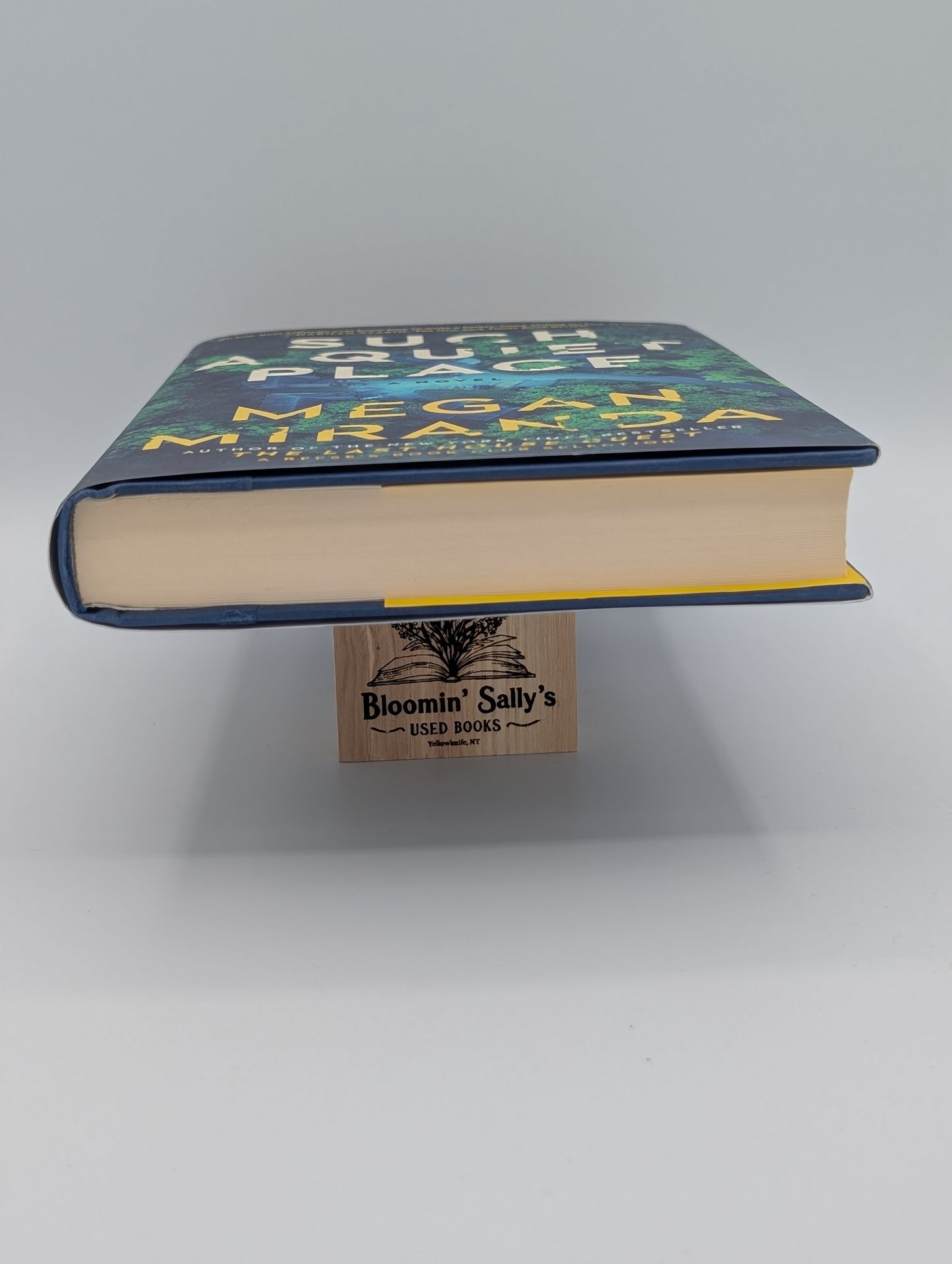 Un endroit si tranquille : un roman (édition reliée)