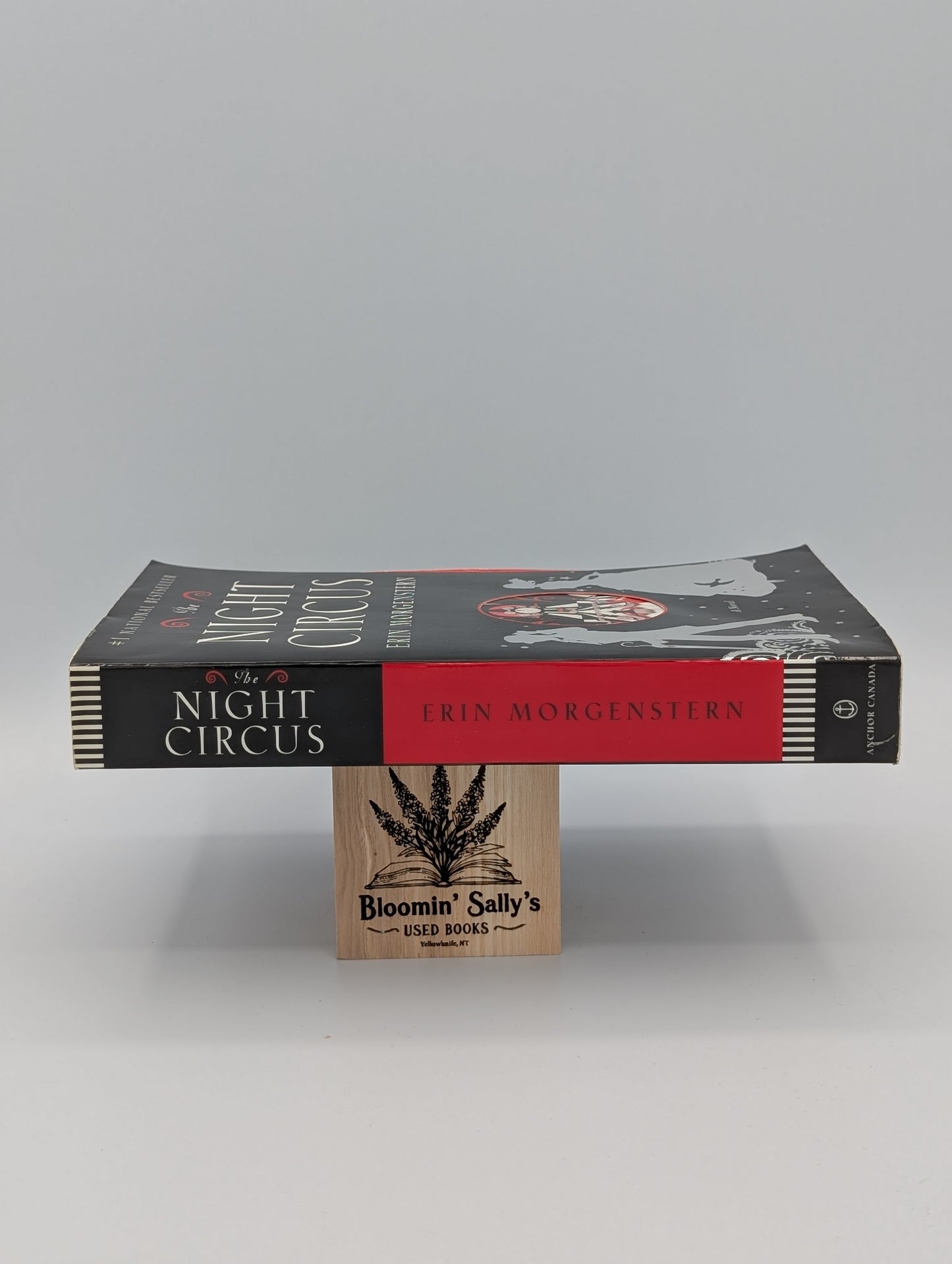 Le Cirque des Rêves (Très bien)