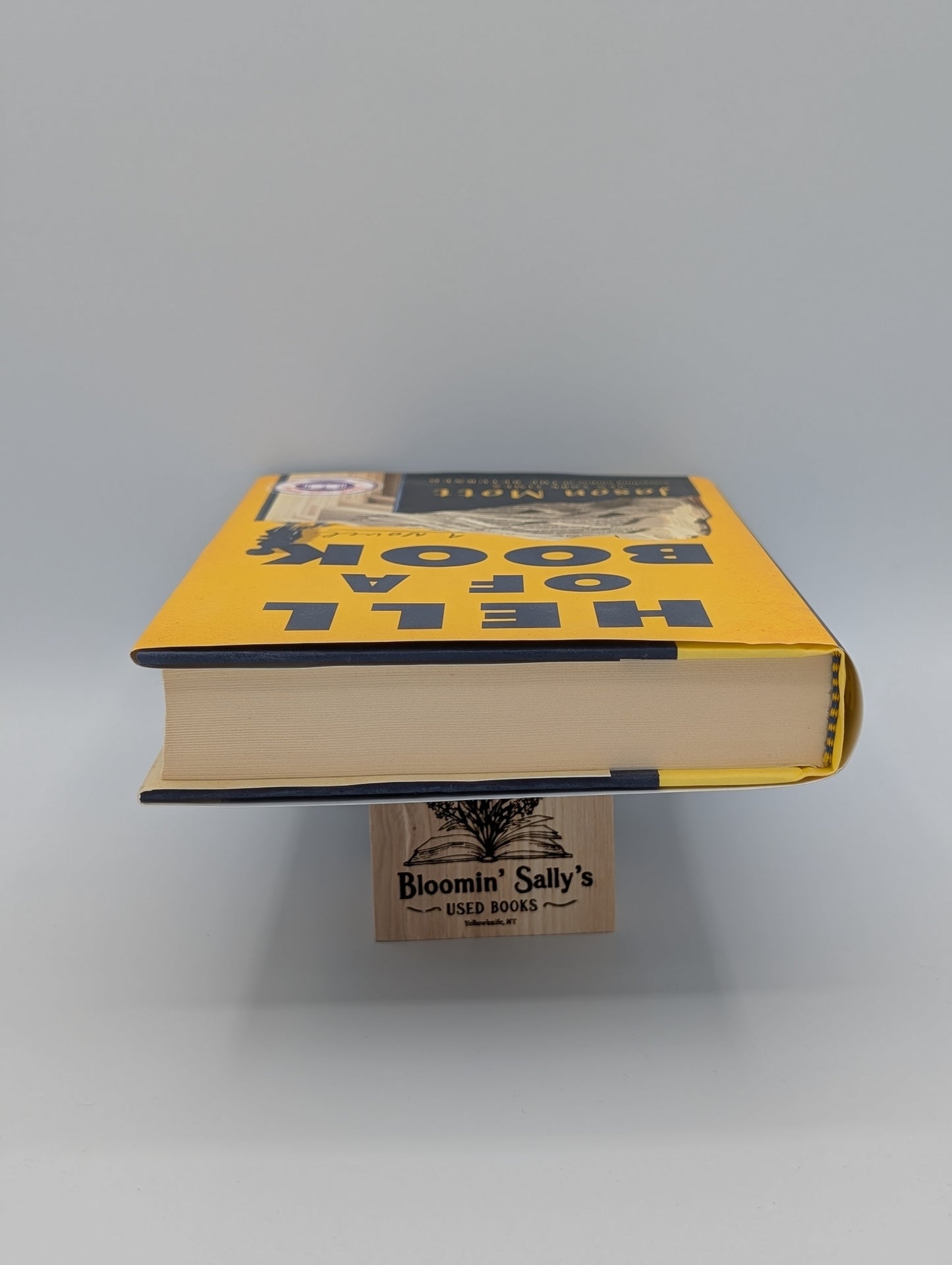 Un livre infernal : lauréat du National Book Award et sélectionné par Jenna Pick (un roman)