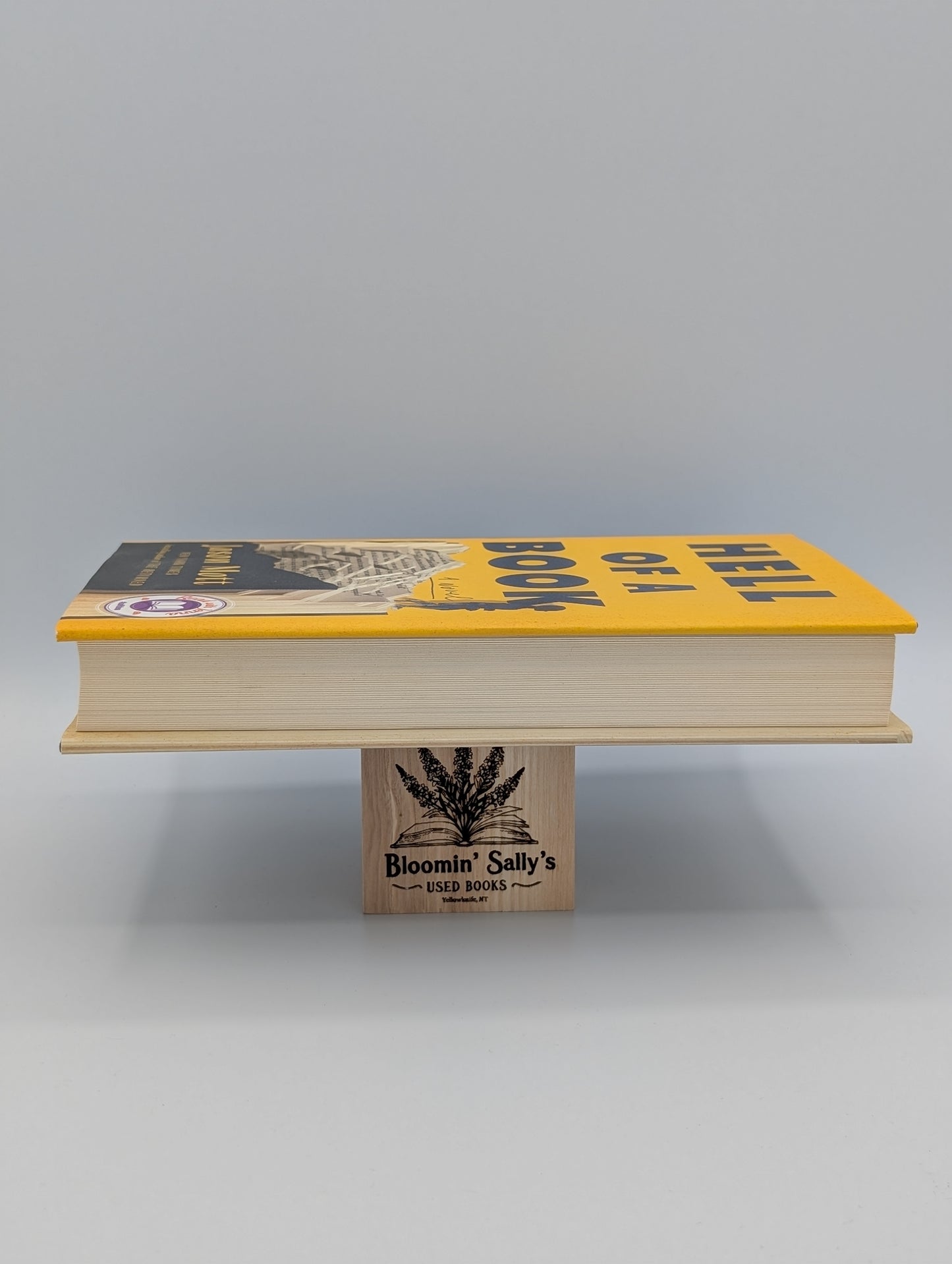 Un livre infernal : lauréat du National Book Award et sélectionné par Jenna Pick (un roman)