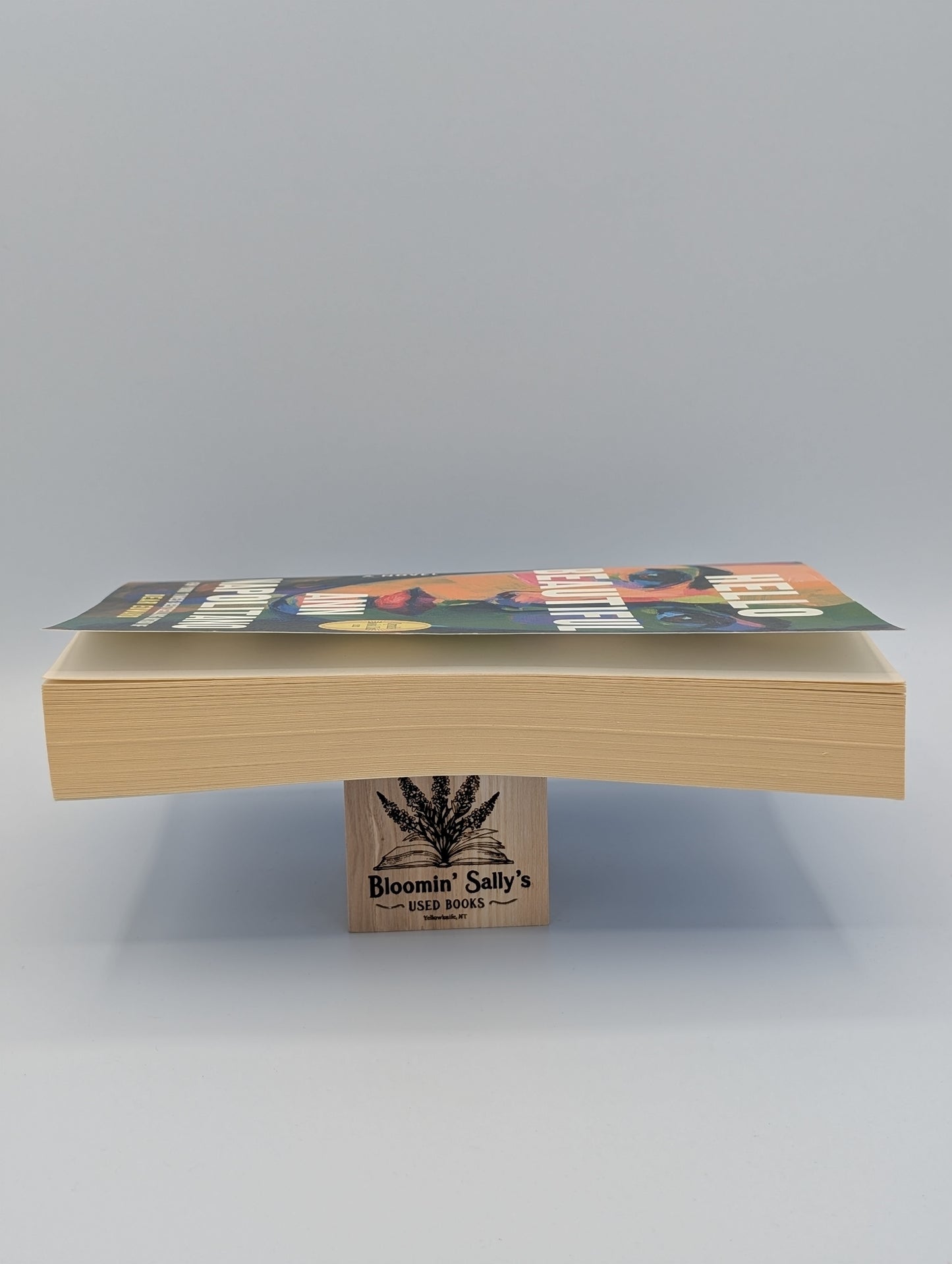 Bonjour Belle (Le club de lecture d'Oprah) : Un roman