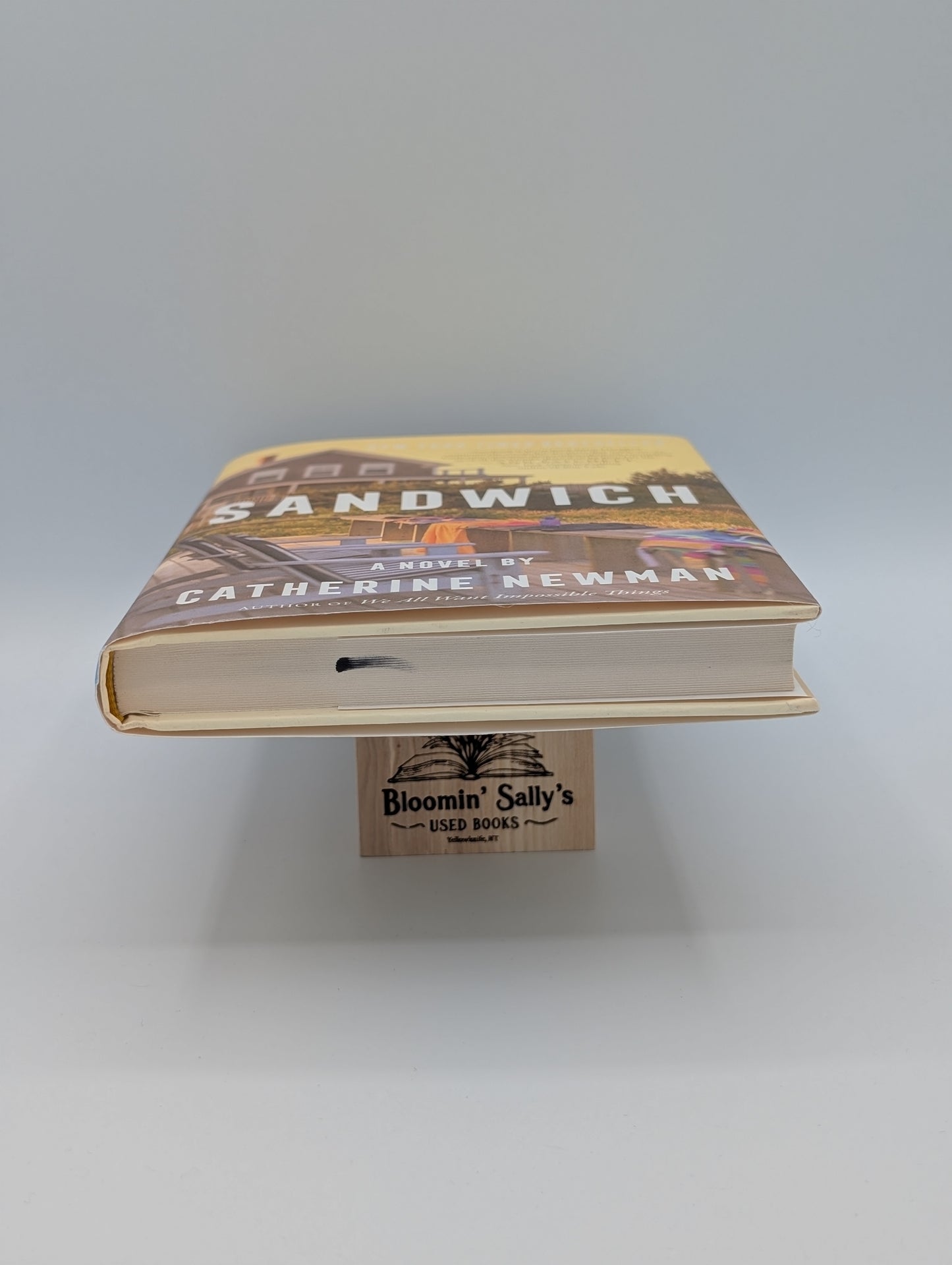 Sandwich: A Novel - Hardcover