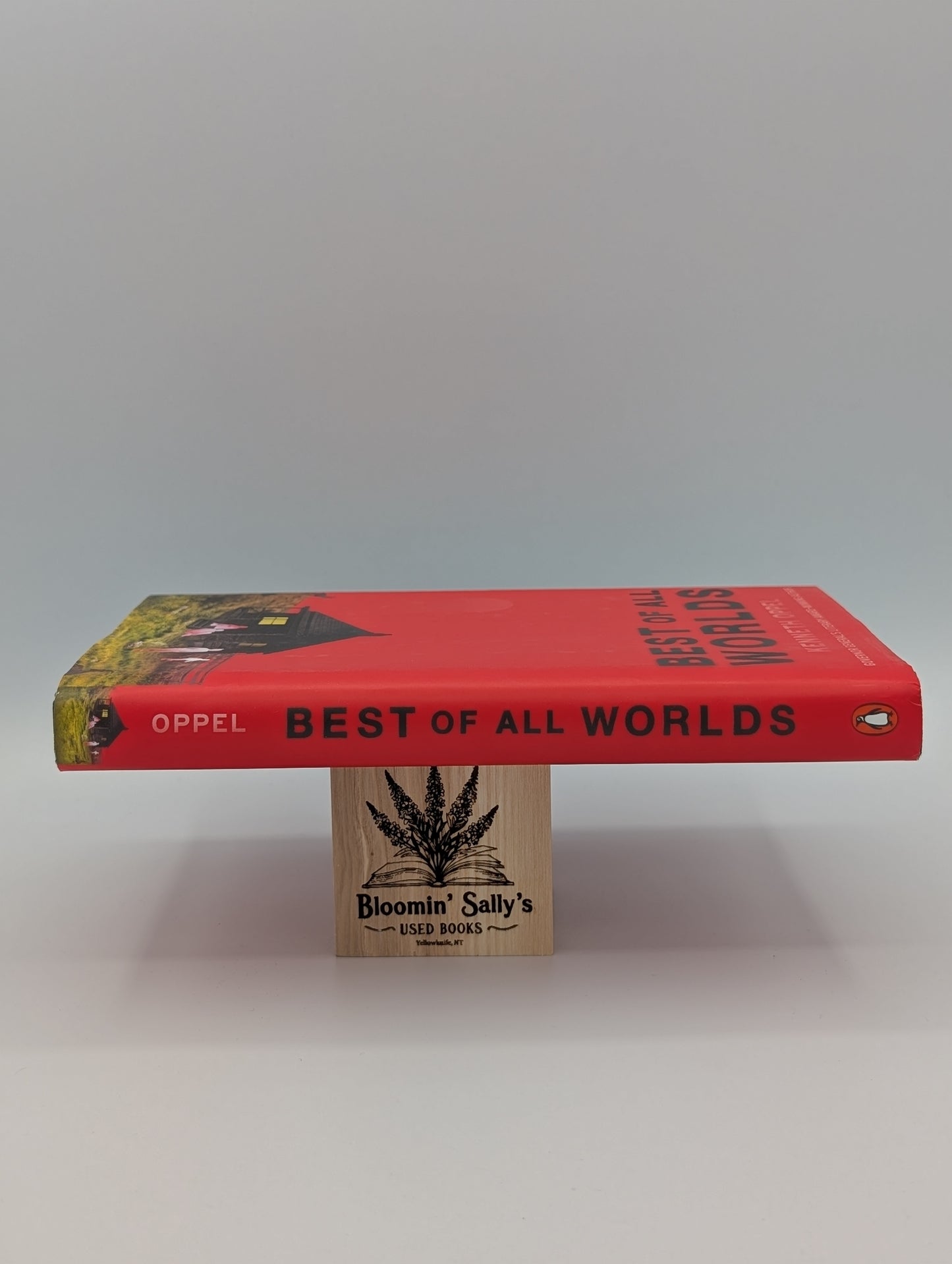 Best of All Worlds