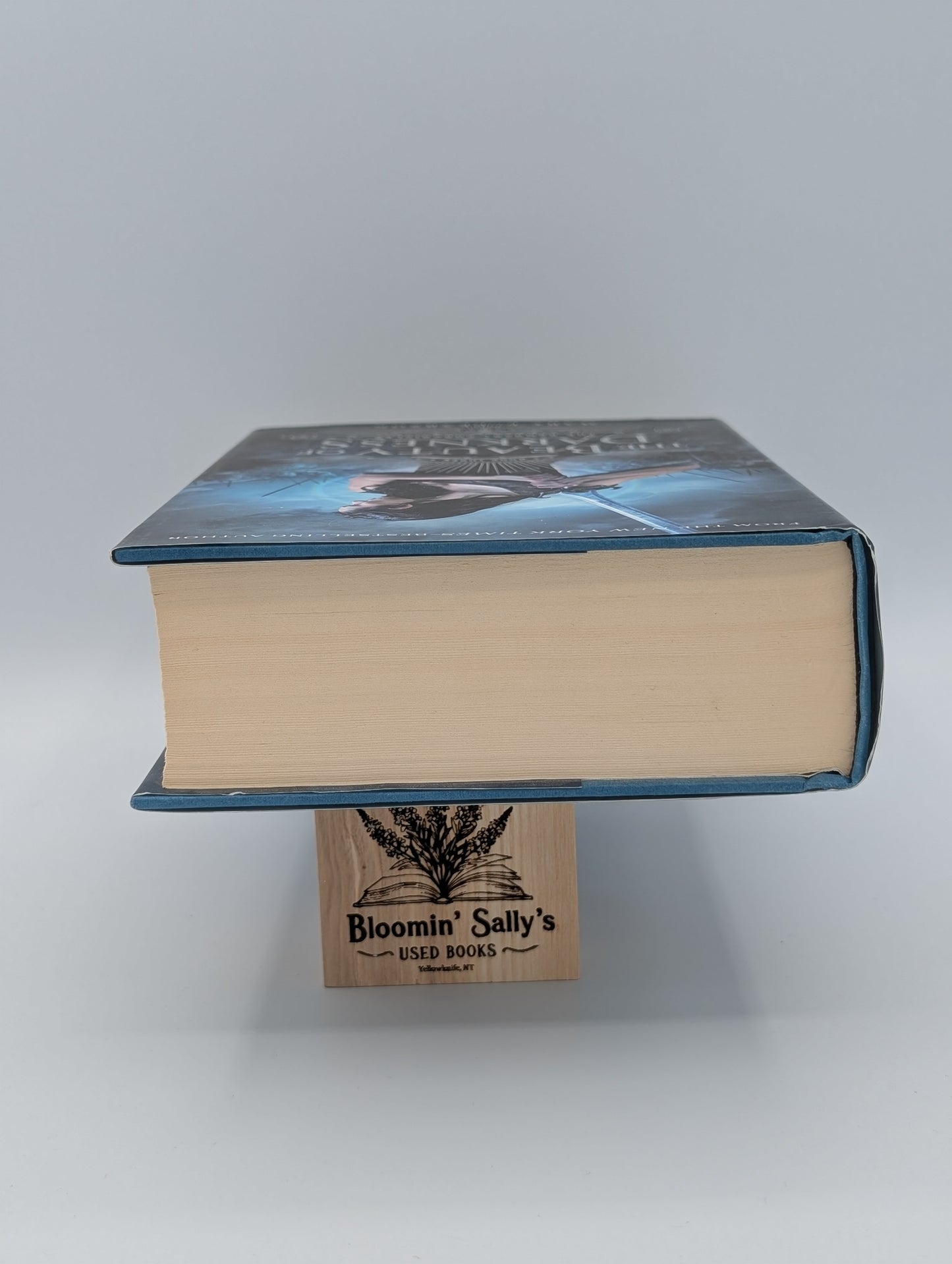 La beauté des ténèbres : Les Chroniques des vestiges, Livre trois (Les Chroniques des vestiges, 3)