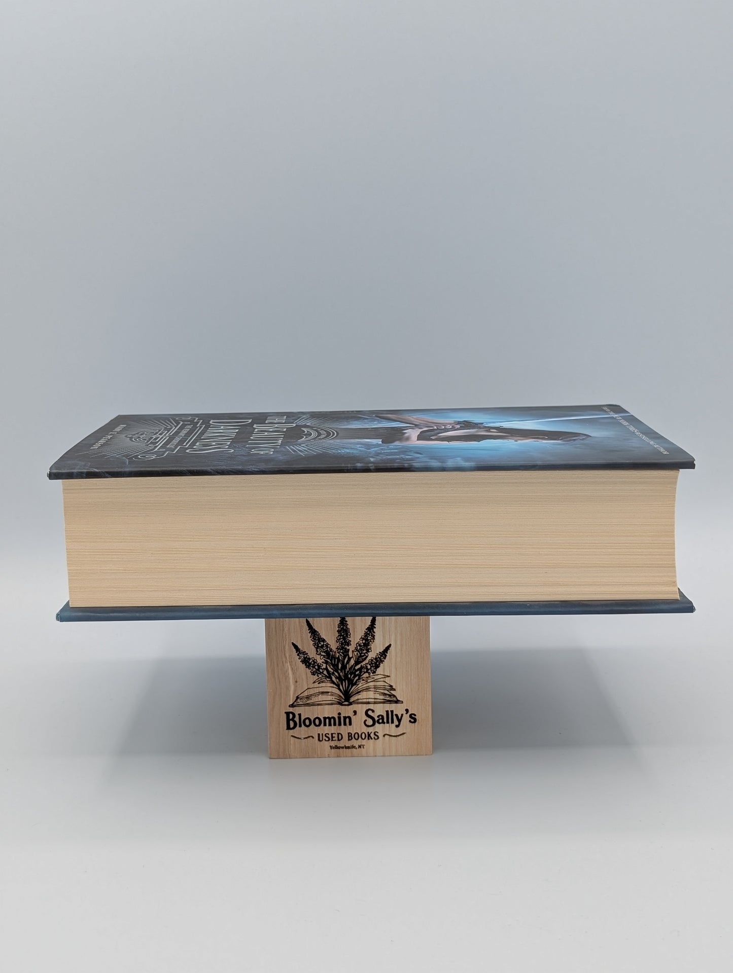 La beauté des ténèbres : Les Chroniques des vestiges, Livre trois (Les Chroniques des vestiges, 3)