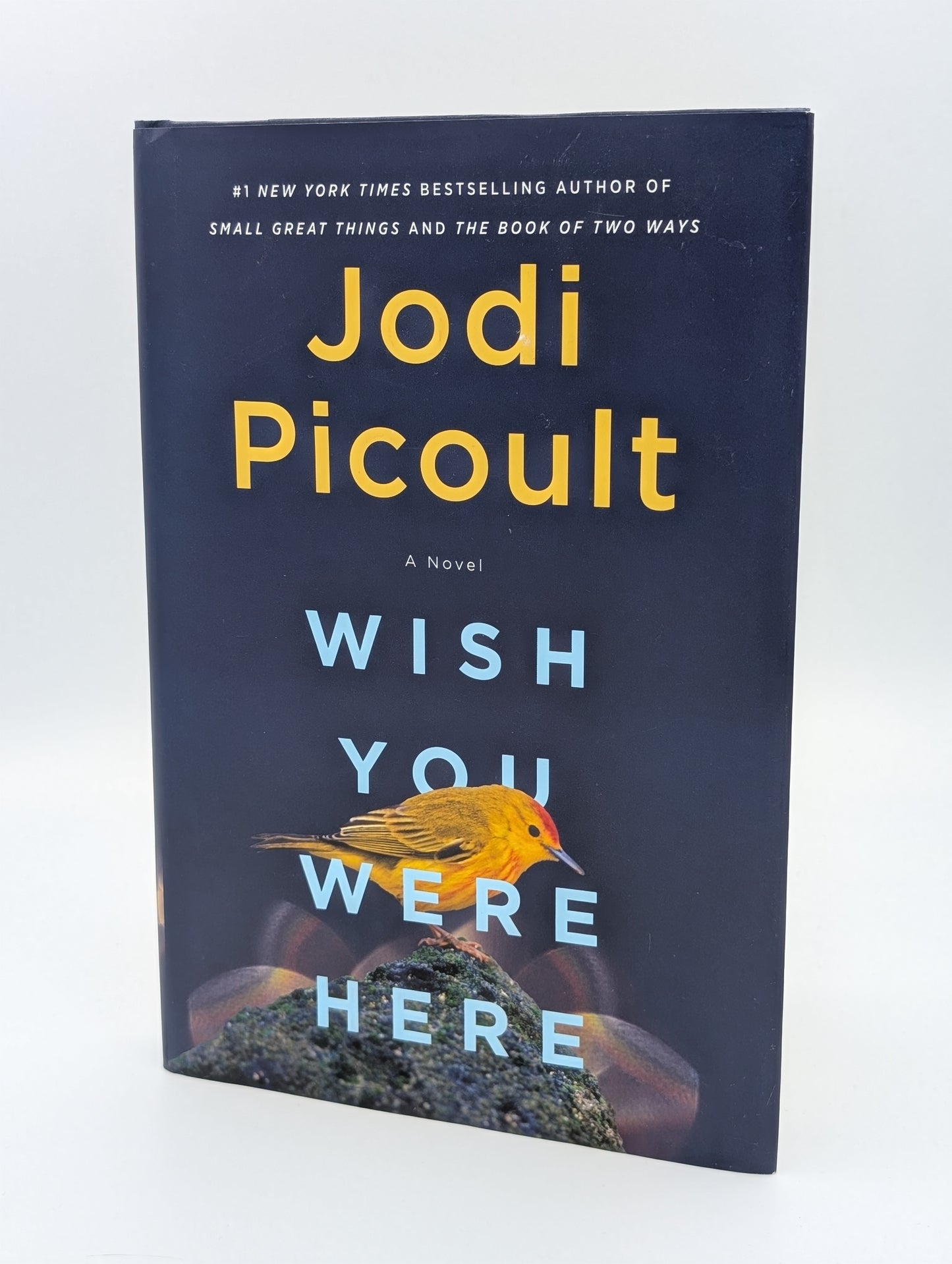Wish You Were Here: A Novel