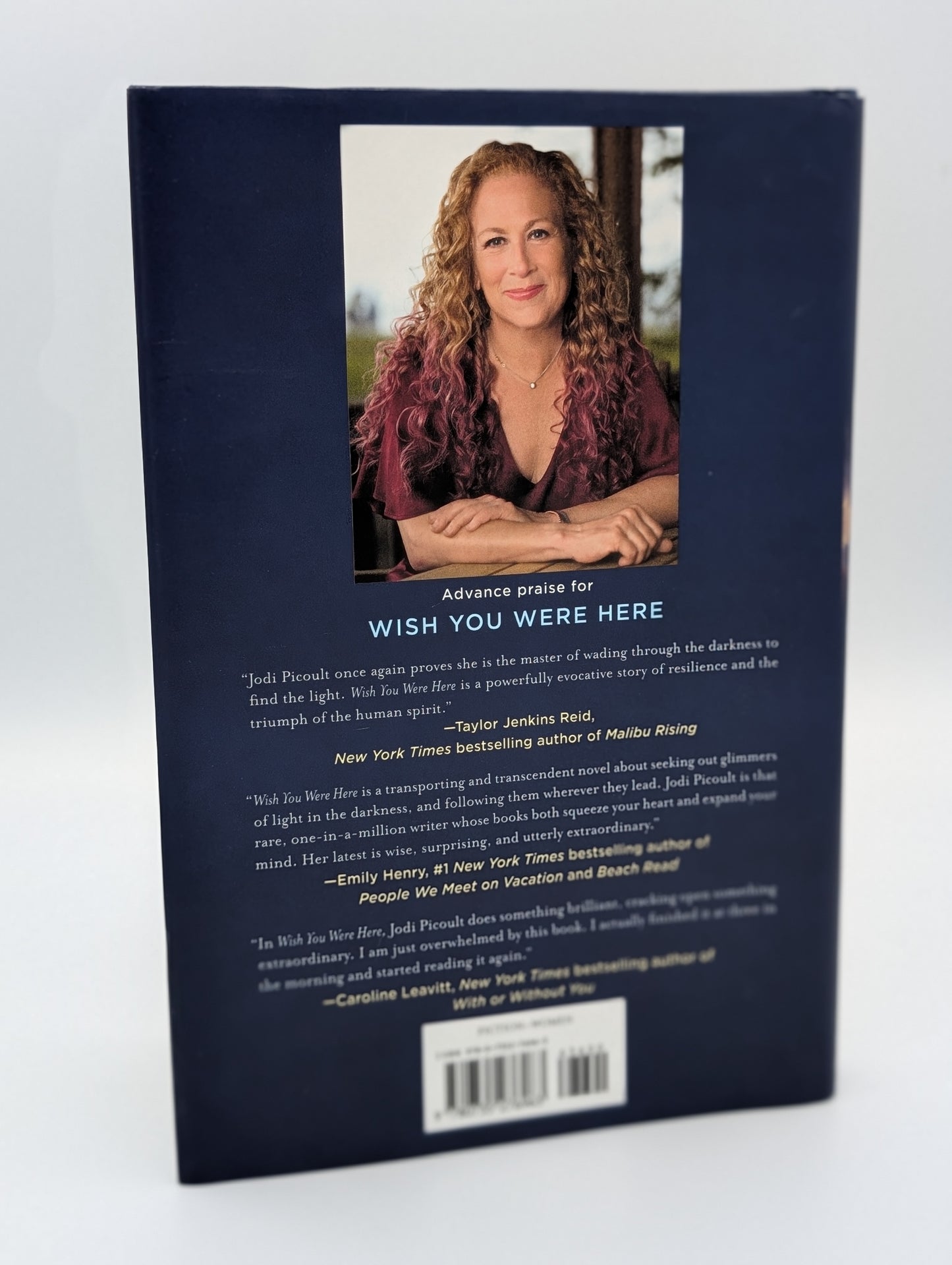 Wish You Were Here: A Novel