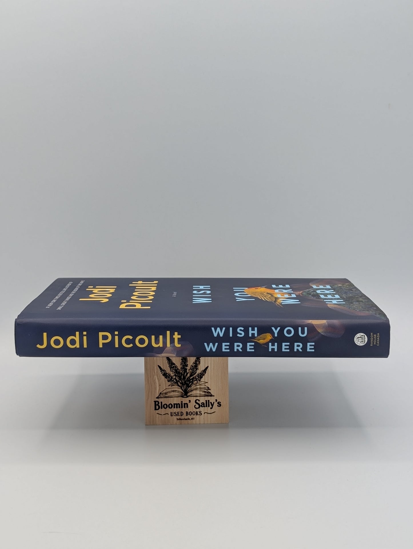 Wish You Were Here: A Novel