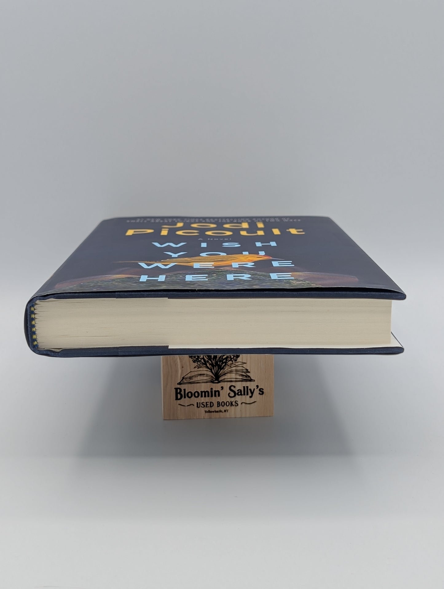 Wish You Were Here: A Novel